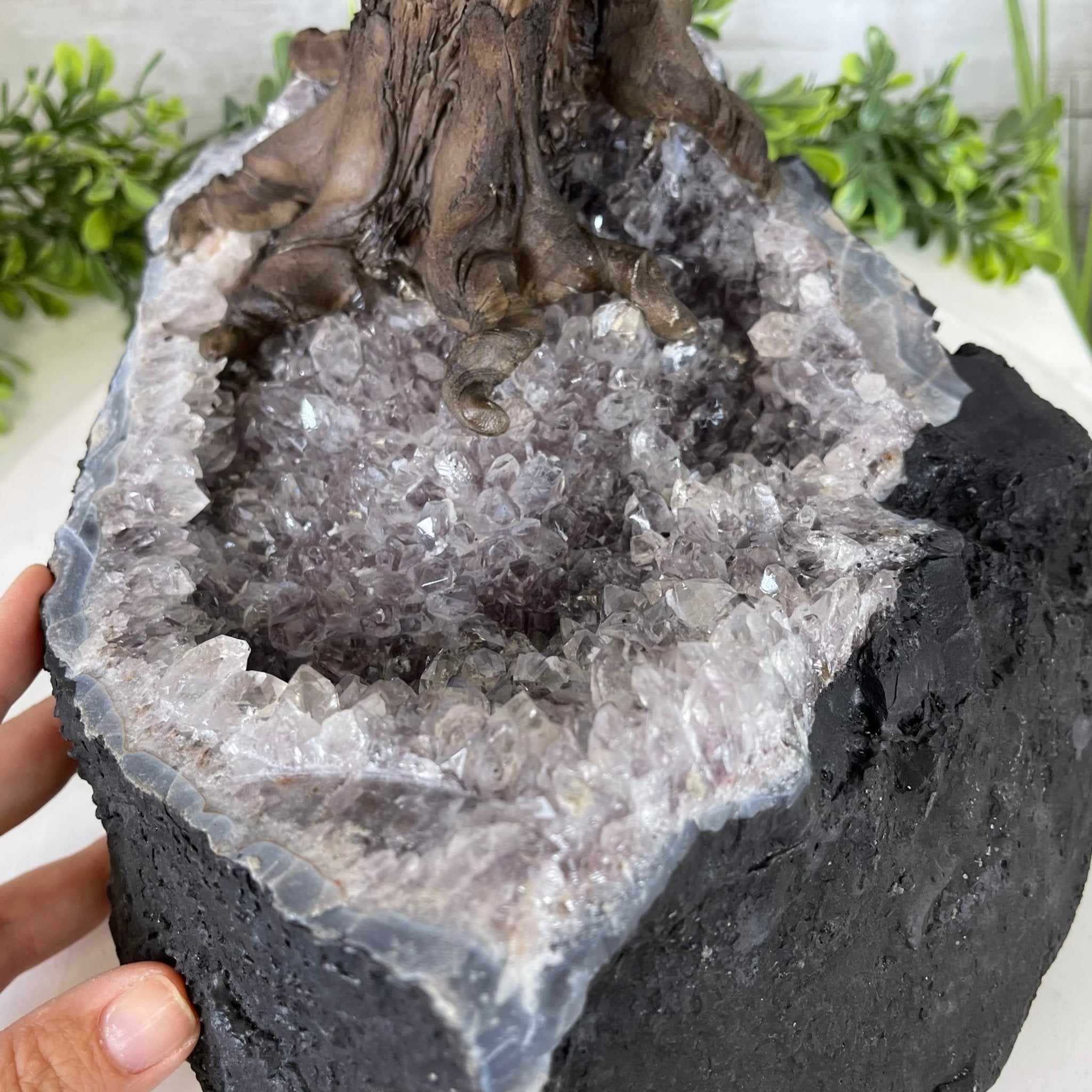 25" Tall Large Handmade Tiger's Eye Gemstone Tree on an Amethyst Base, 720 gems #5407TE-001 by Brazil Gems - Brazil GemsBrazil Gems25" Tall Large Handmade Tiger's Eye Gemstone Tree on an Amethyst Base, 720 gems #5407TE-001 by Brazil GemsGemstone Trees5407TE-001