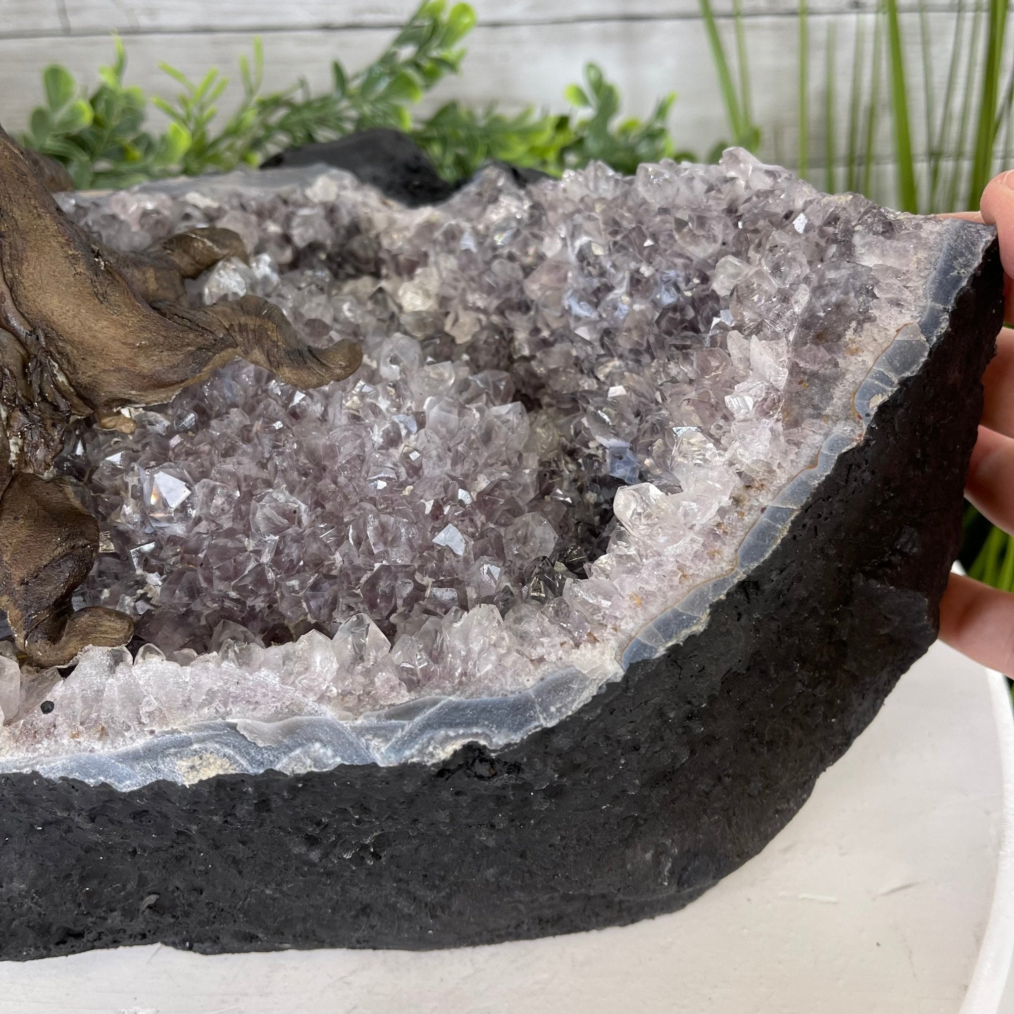 25" Tall Large Handmade Tiger's Eye Gemstone Tree on an Amethyst Base, 720 gems #5407TE-001 by Brazil Gems - Brazil GemsBrazil Gems25" Tall Large Handmade Tiger's Eye Gemstone Tree on an Amethyst Base, 720 gems #5407TE-001 by Brazil GemsGemstone Trees5407TE-001