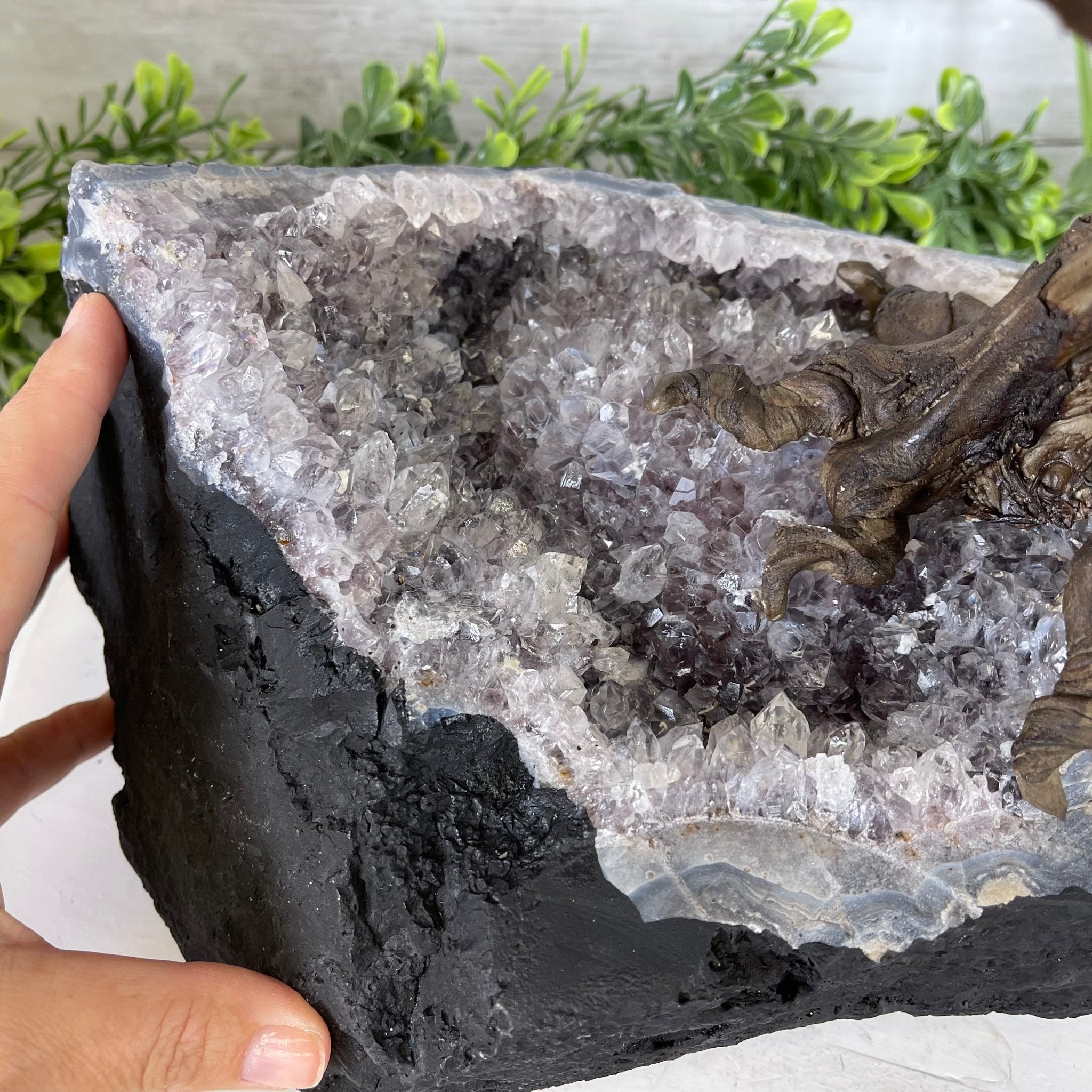 25" Tall Large Handmade Tiger's Eye Gemstone Tree on an Amethyst Base, 720 gems #5407TE-001 by Brazil Gems - Brazil GemsBrazil Gems25" Tall Large Handmade Tiger's Eye Gemstone Tree on an Amethyst Base, 720 gems #5407TE-001 by Brazil GemsGemstone Trees5407TE-001