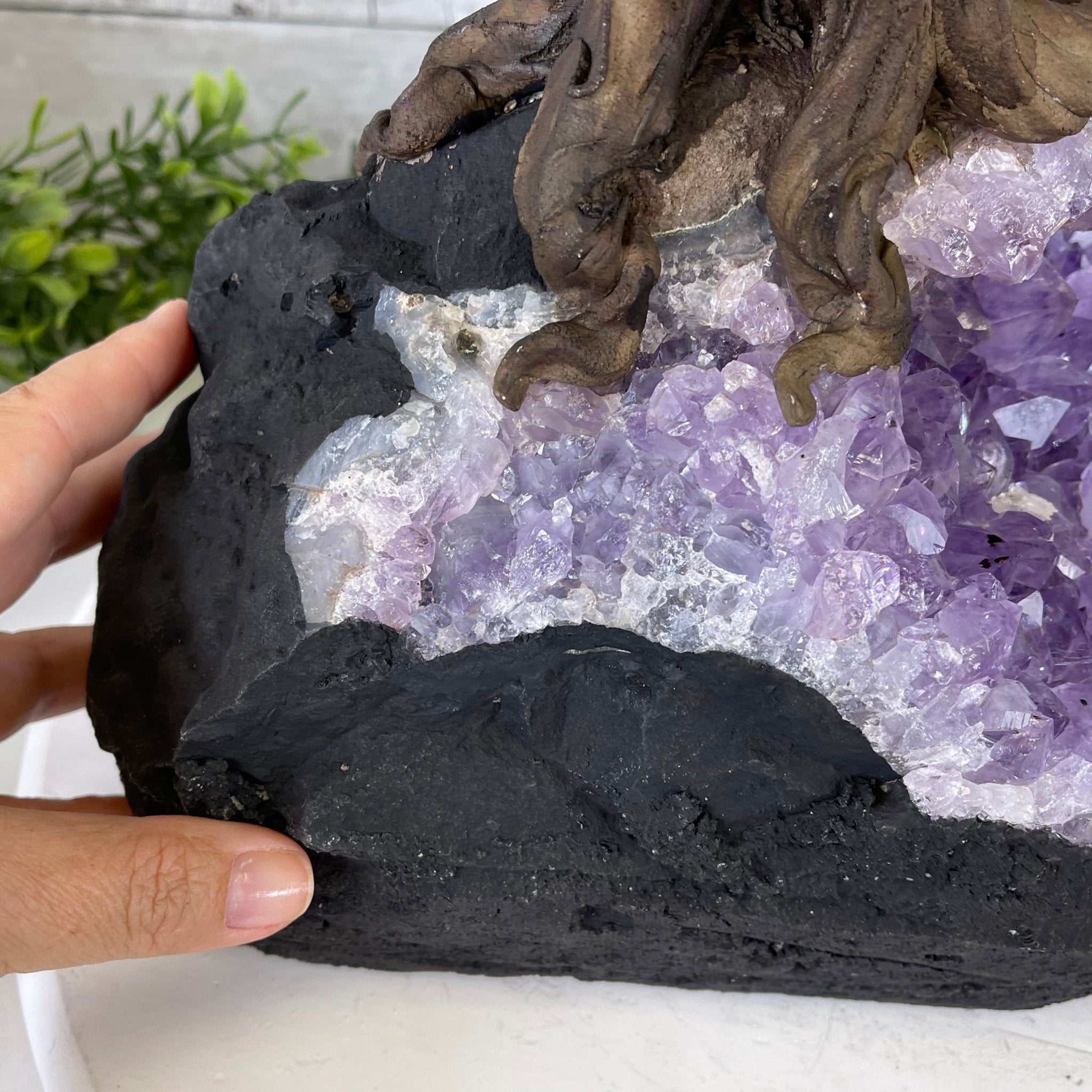 25" Tall Large Handmade Tiger's Eye Gemstone Tree on an Amethyst Base, 720 gems #5407TE-002 by Brazil Gems - Brazil GemsBrazil Gems25" Tall Large Handmade Tiger's Eye Gemstone Tree on an Amethyst Base, 720 gems #5407TE-002 by Brazil GemsGemstone Trees5407TE-002