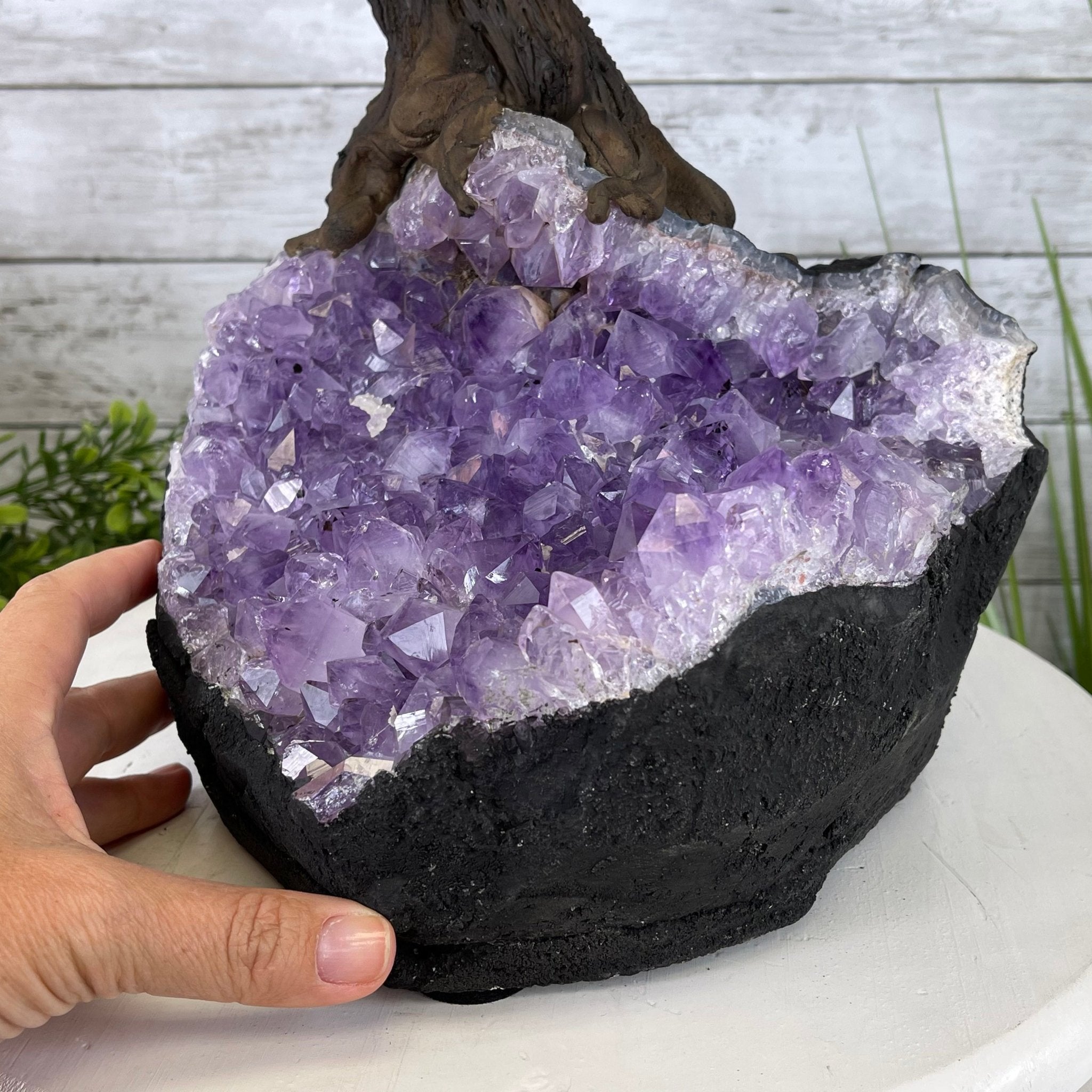25" Tall Large Handmade Tiger's Eye Gemstone Tree on an Amethyst Base, 720 gems #5407TE-002 by Brazil Gems - Brazil GemsBrazil Gems25" Tall Large Handmade Tiger's Eye Gemstone Tree on an Amethyst Base, 720 gems #5407TE-002 by Brazil GemsGemstone Trees5407TE-002