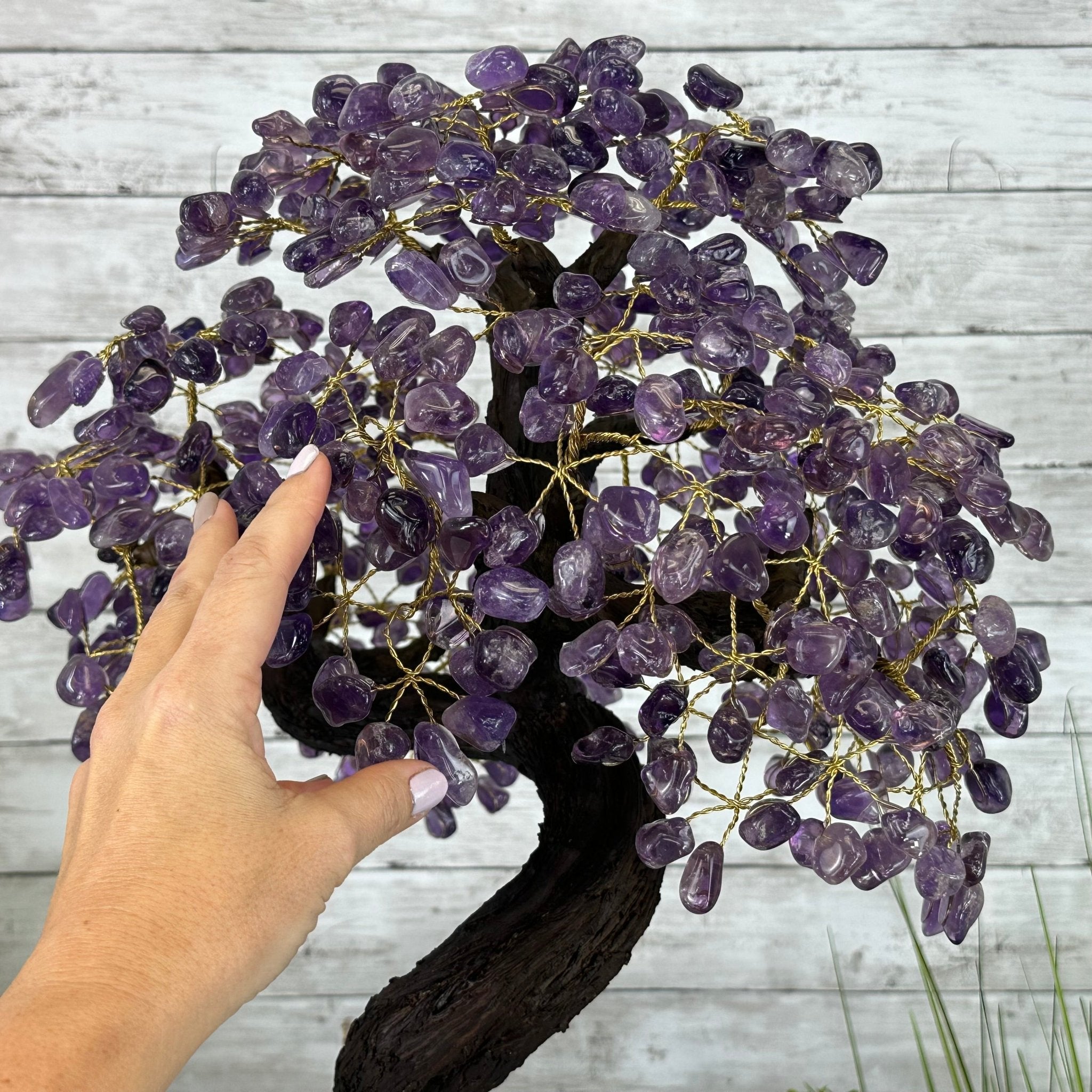 25" Tall Special Amethyst Gemstone Tree w/ Amethyst base, 600 Gems #5459AMMQ-001 - Brazil GemsBrazil Gems25" Tall Special Amethyst Gemstone Tree w/ Amethyst base, 600 Gems #5459AMMQ-001Gemstone Trees5459AMMQ-001