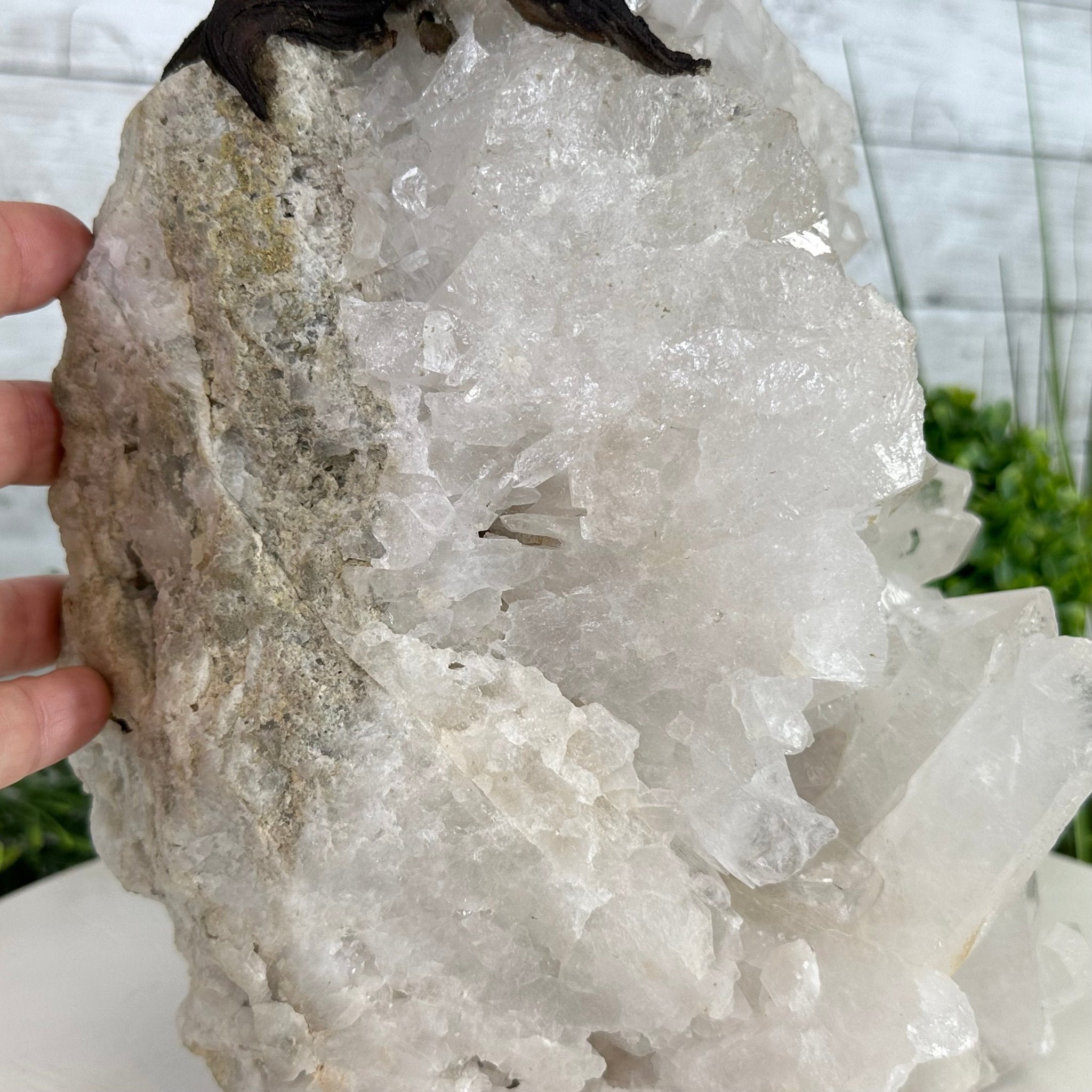 25" Tall Special Amethyst Gemstone Tree w/ Amethyst base, 600 Gems #5459AMMQ-001 - Brazil GemsBrazil Gems25" Tall Special Amethyst Gemstone Tree w/ Amethyst base, 600 Gems #5459AMMQ-001Gemstone Trees5459AMMQ-001