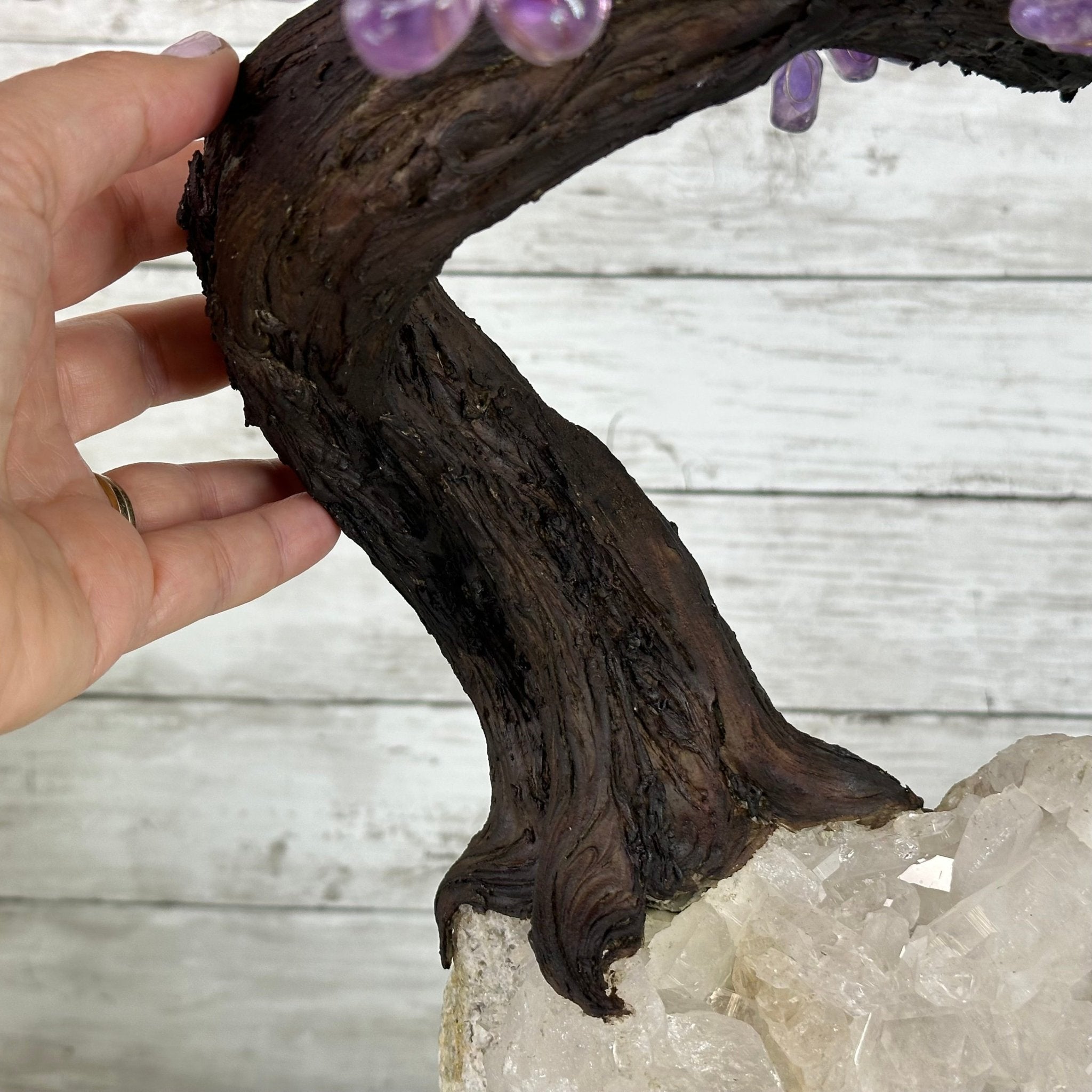 25" Tall Special Amethyst Gemstone Tree w/ Amethyst base, 600 Gems #5459AMMQ-001 - Brazil GemsBrazil Gems25" Tall Special Amethyst Gemstone Tree w/ Amethyst base, 600 Gems #5459AMMQ-001Gemstone Trees5459AMMQ-001