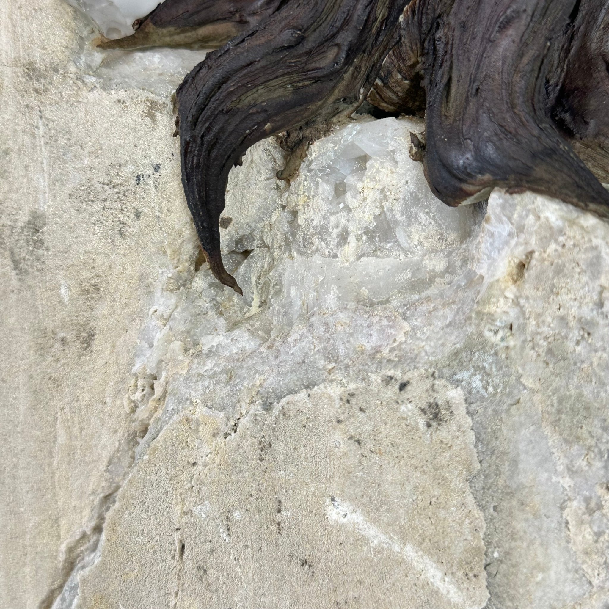 25" Tall Special Amethyst Gemstone Tree w/ Amethyst base, 600 Gems #5459AMMQ-001 - Brazil GemsBrazil Gems25" Tall Special Amethyst Gemstone Tree w/ Amethyst base, 600 Gems #5459AMMQ-001Gemstone Trees5459AMMQ-001