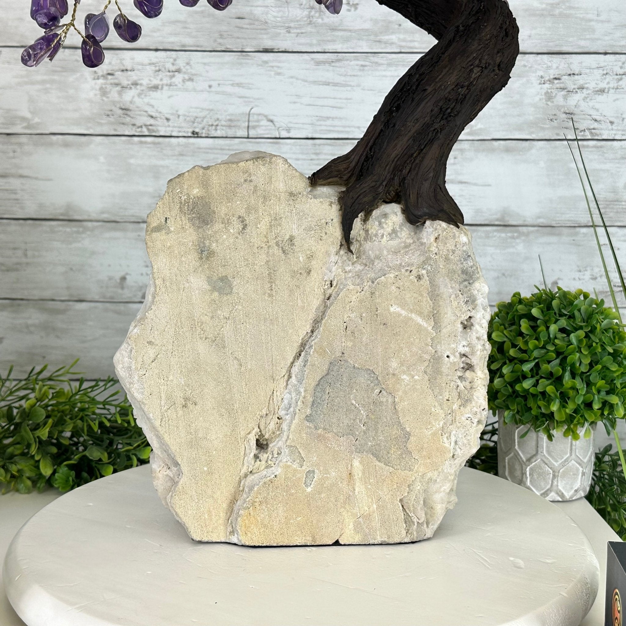 25" Tall Special Amethyst Gemstone Tree w/ Amethyst base, 600 Gems #5459AMMQ-001 - Brazil GemsBrazil Gems25" Tall Special Amethyst Gemstone Tree w/ Amethyst base, 600 Gems #5459AMMQ-001Gemstone Trees5459AMMQ-001