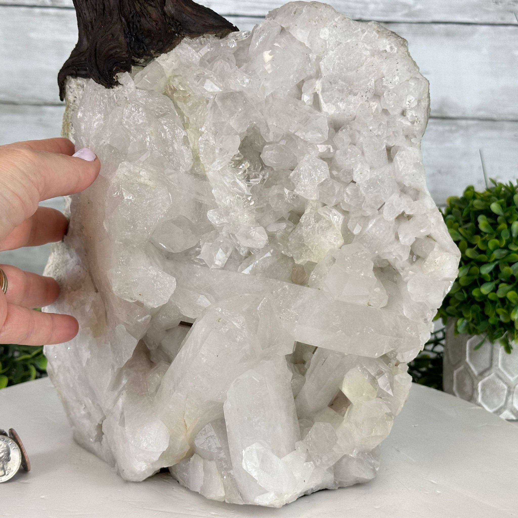 25" Tall Special Amethyst Gemstone Tree w/ Amethyst base, 600 Gems #5459AMMQ-001 - Brazil GemsBrazil Gems25" Tall Special Amethyst Gemstone Tree w/ Amethyst base, 600 Gems #5459AMMQ-001Gemstone Trees5459AMMQ-001