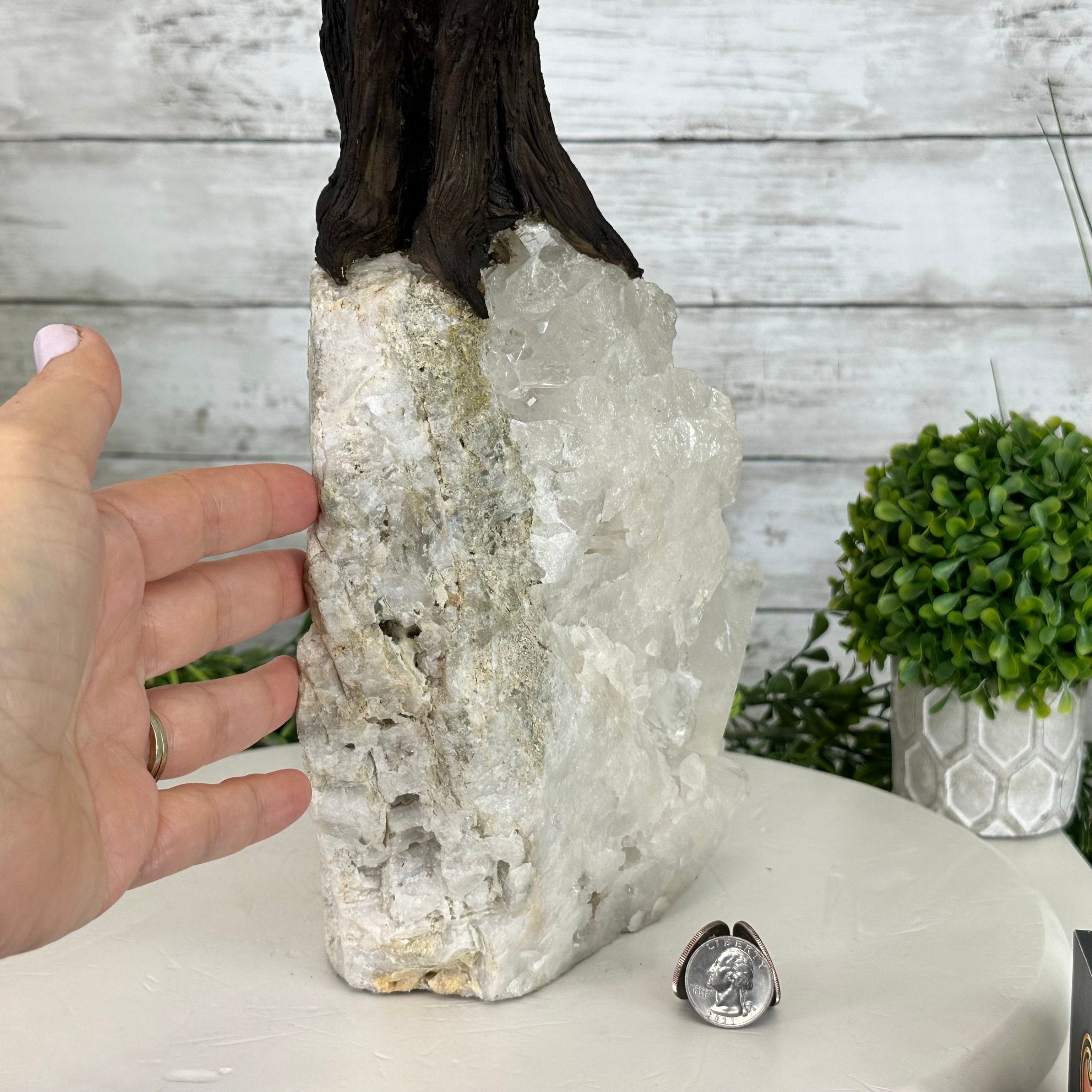 25" Tall Special Amethyst Gemstone Tree w/ Amethyst base, 600 Gems #5459AMMQ-001 - Brazil GemsBrazil Gems25" Tall Special Amethyst Gemstone Tree w/ Amethyst base, 600 Gems #5459AMMQ-001Gemstone Trees5459AMMQ-001