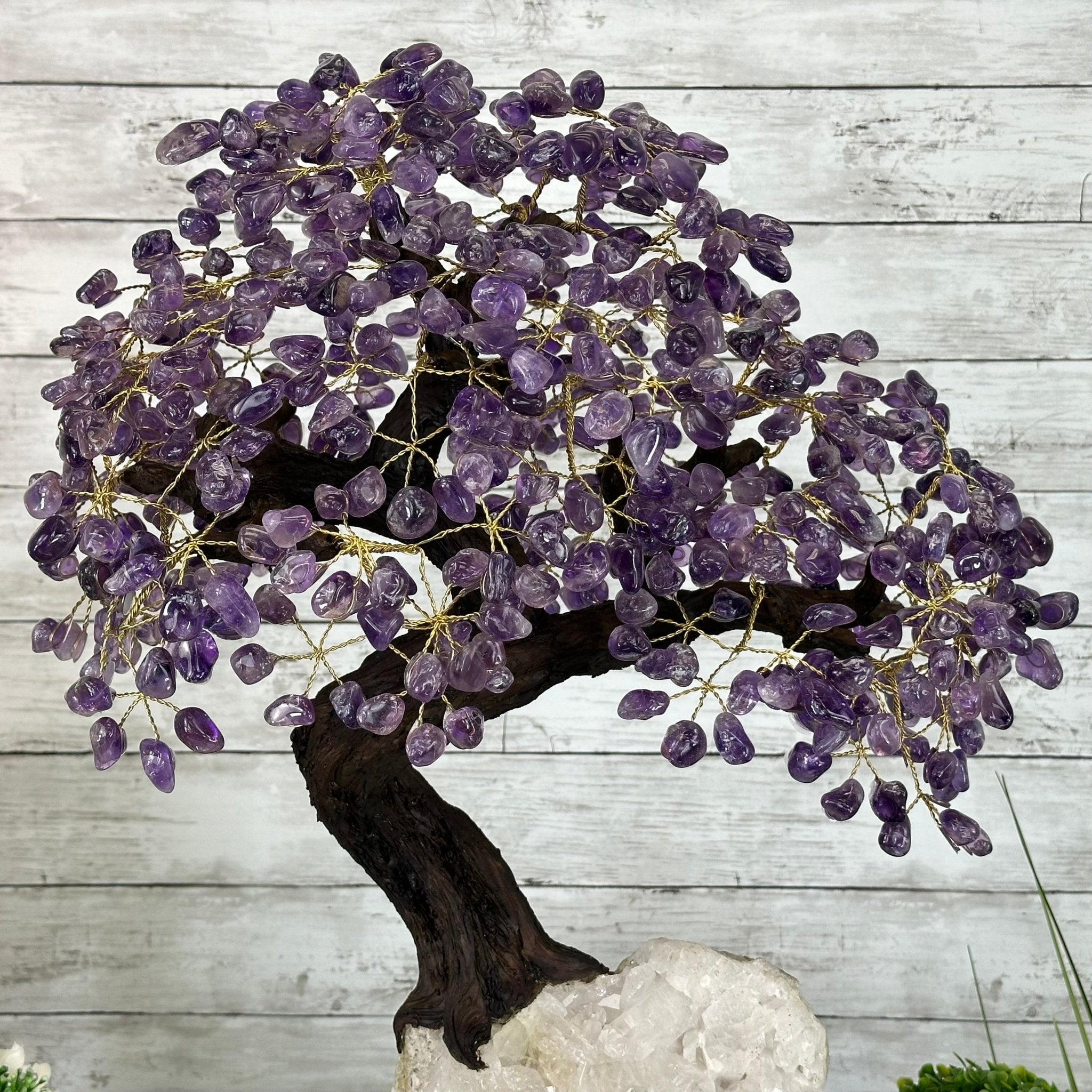 25" Tall Special Amethyst Gemstone Tree w/ Amethyst base, 600 Gems #5459AMMQ-001 - Brazil GemsBrazil Gems25" Tall Special Amethyst Gemstone Tree w/ Amethyst base, 600 Gems #5459AMMQ-001Gemstone Trees5459AMMQ-001