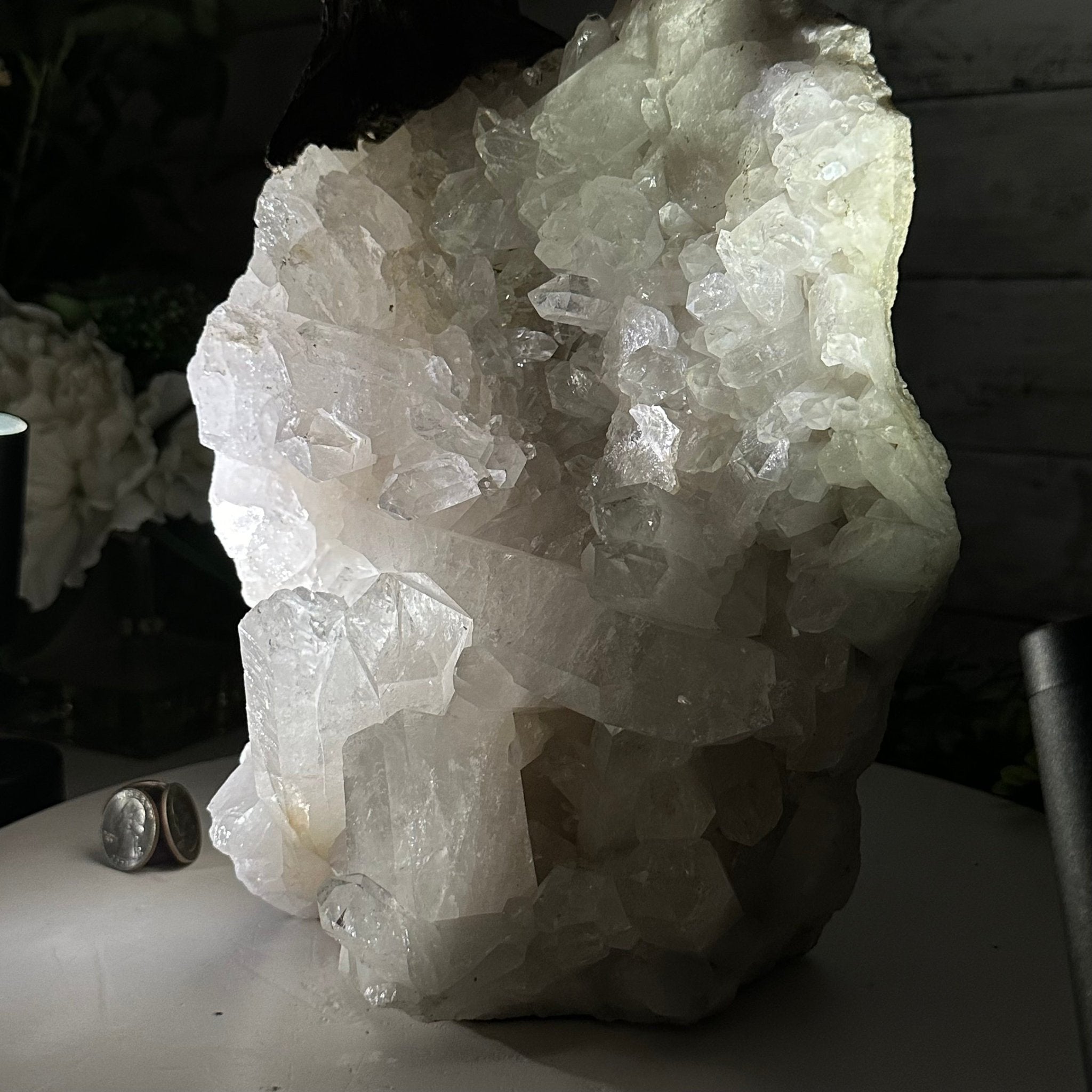 25" Tall Special Amethyst Gemstone Tree w/ Amethyst base, 600 Gems #5459AMMQ-001 - Brazil GemsBrazil Gems25" Tall Special Amethyst Gemstone Tree w/ Amethyst base, 600 Gems #5459AMMQ-001Gemstone Trees5459AMMQ-001