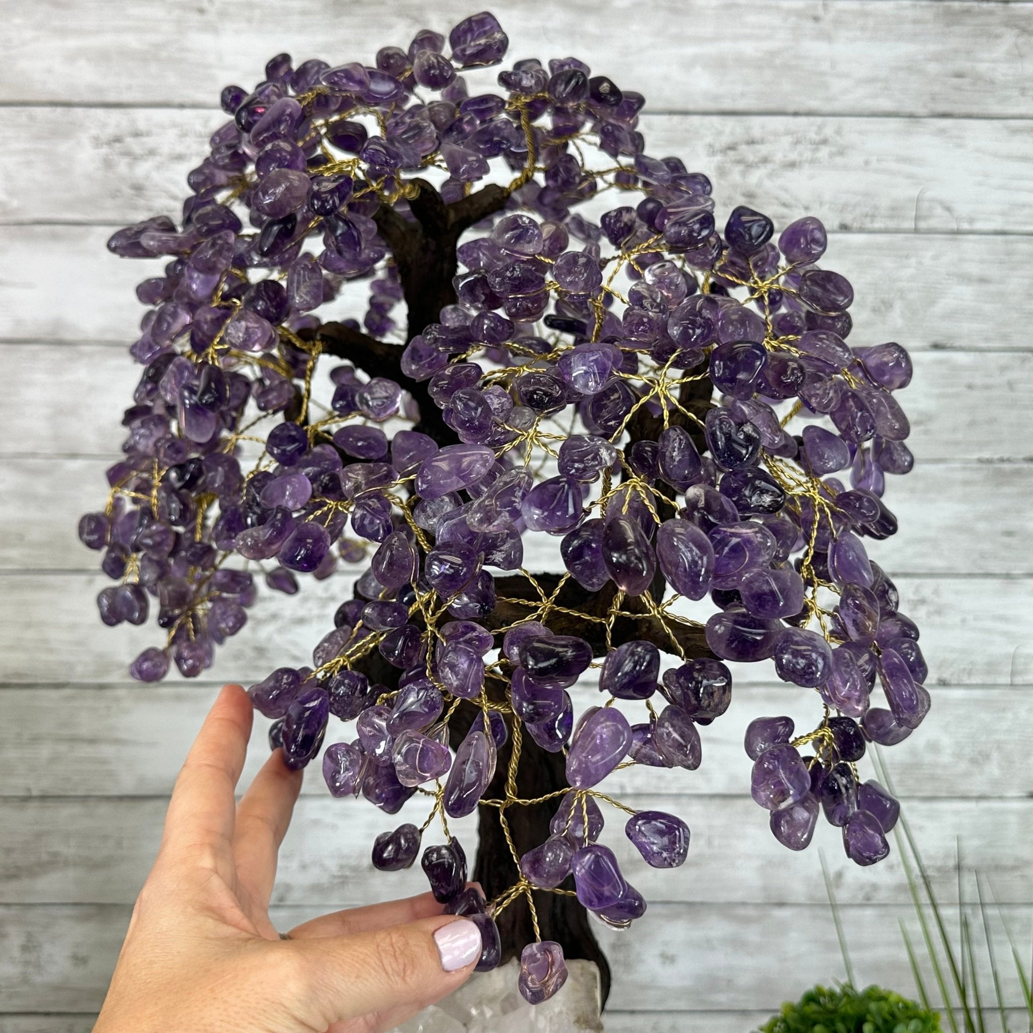 25" Tall Special Amethyst Gemstone Tree w/ Amethyst base, 600 Gems #5459AMMQ-001 - Brazil GemsBrazil Gems25" Tall Special Amethyst Gemstone Tree w/ Amethyst base, 600 Gems #5459AMMQ-001Gemstone Trees5459AMMQ-001