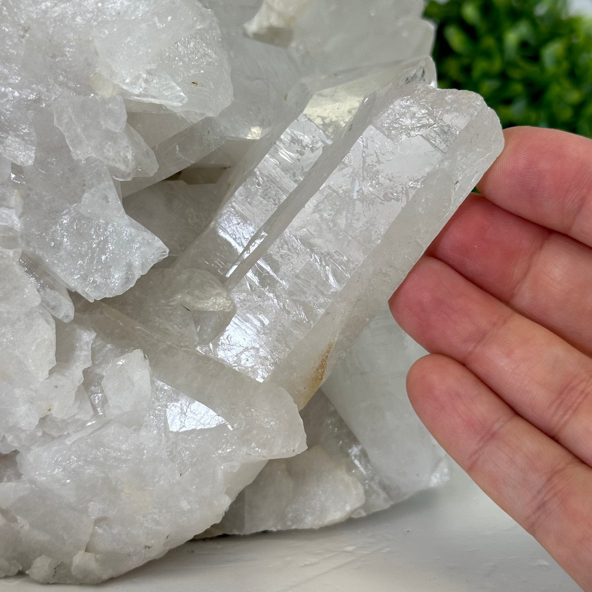 25" Tall Special Amethyst Gemstone Tree w/ Amethyst base, 600 Gems #5459AMMQ-001 - Brazil GemsBrazil Gems25" Tall Special Amethyst Gemstone Tree w/ Amethyst base, 600 Gems #5459AMMQ-001Gemstone Trees5459AMMQ-001