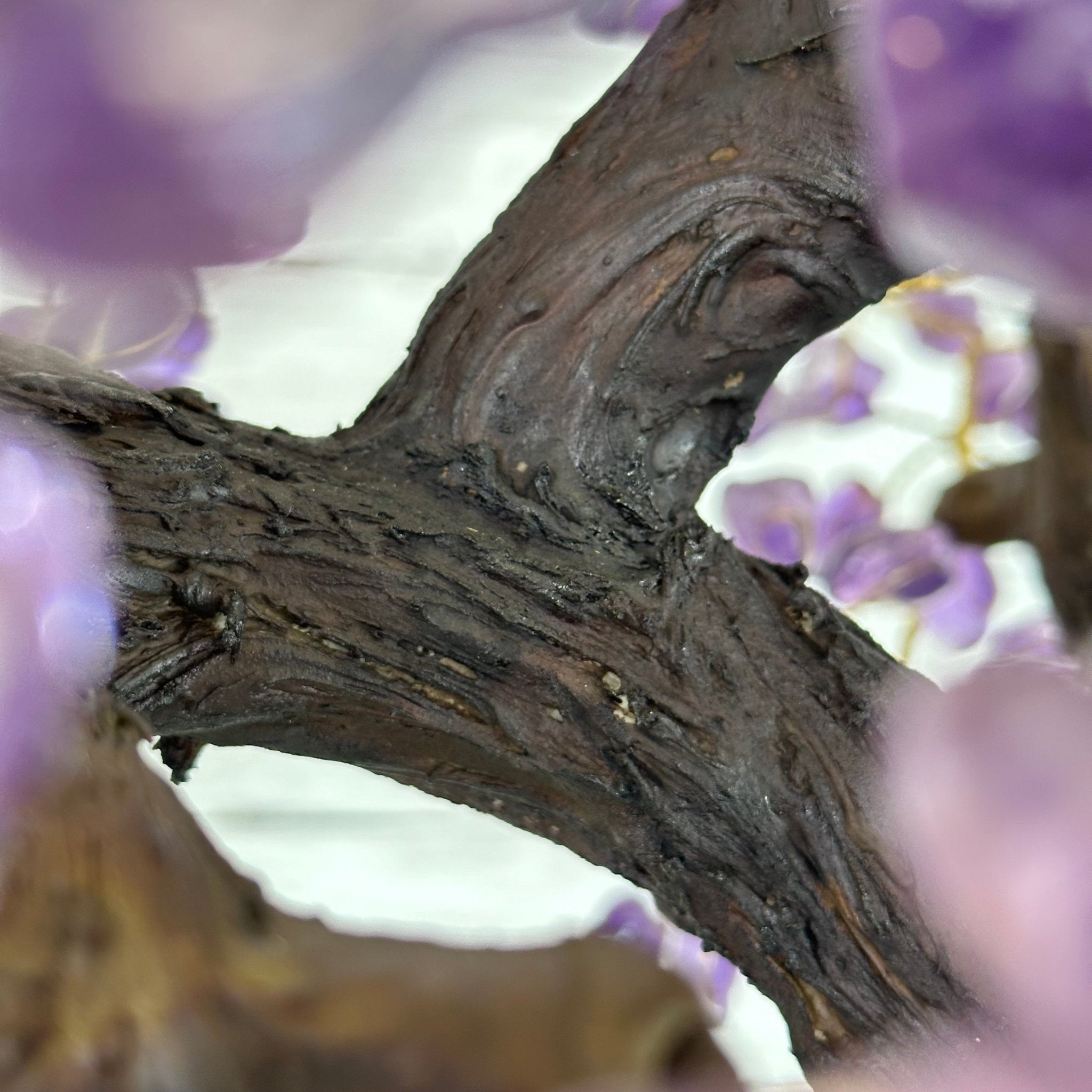 25" Tall Special Amethyst Gemstone Tree w/ Amethyst base, 600 Gems #5459AMMQ-001 - Brazil GemsBrazil Gems25" Tall Special Amethyst Gemstone Tree w/ Amethyst base, 600 Gems #5459AMMQ-001Gemstone Trees5459AMMQ-001