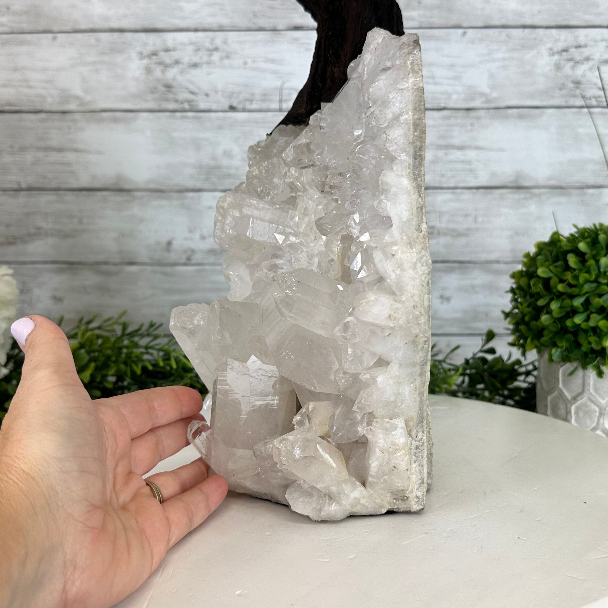 25" Tall Special Amethyst Gemstone Tree w/ Amethyst base, 600 Gems #5459AMMQ-001 - Brazil GemsBrazil Gems25" Tall Special Amethyst Gemstone Tree w/ Amethyst base, 600 Gems #5459AMMQ-001Gemstone Trees5459AMMQ-001