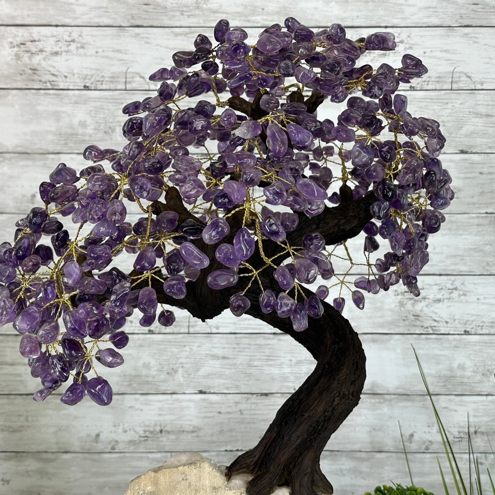 25" Tall Special Amethyst Gemstone Tree w/ Amethyst base, 600 Gems #5459AMMQ-001 - Brazil GemsBrazil Gems25" Tall Special Amethyst Gemstone Tree w/ Amethyst base, 600 Gems #5459AMMQ-001Gemstone Trees5459AMMQ-001