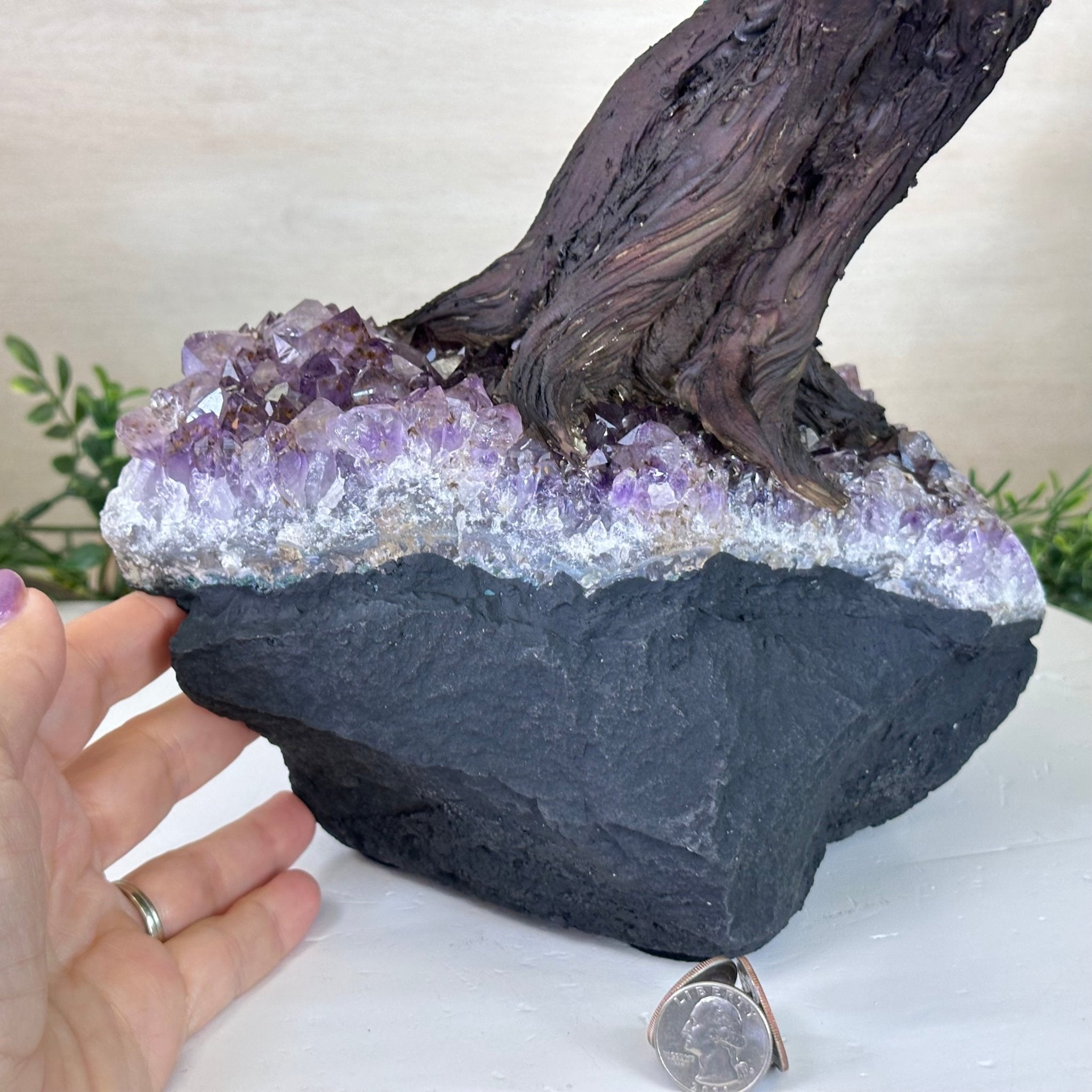 25.4" Tall Large Citrine Gemstone Tree on an Amethyst Base, 720 gems #5407CI - 014 - Brazil GemsBrazil Gems25.4" Tall Large Citrine Gemstone Tree on an Amethyst Base, 720 gems #5407CI - 014Gemstone Trees5407CI - 014