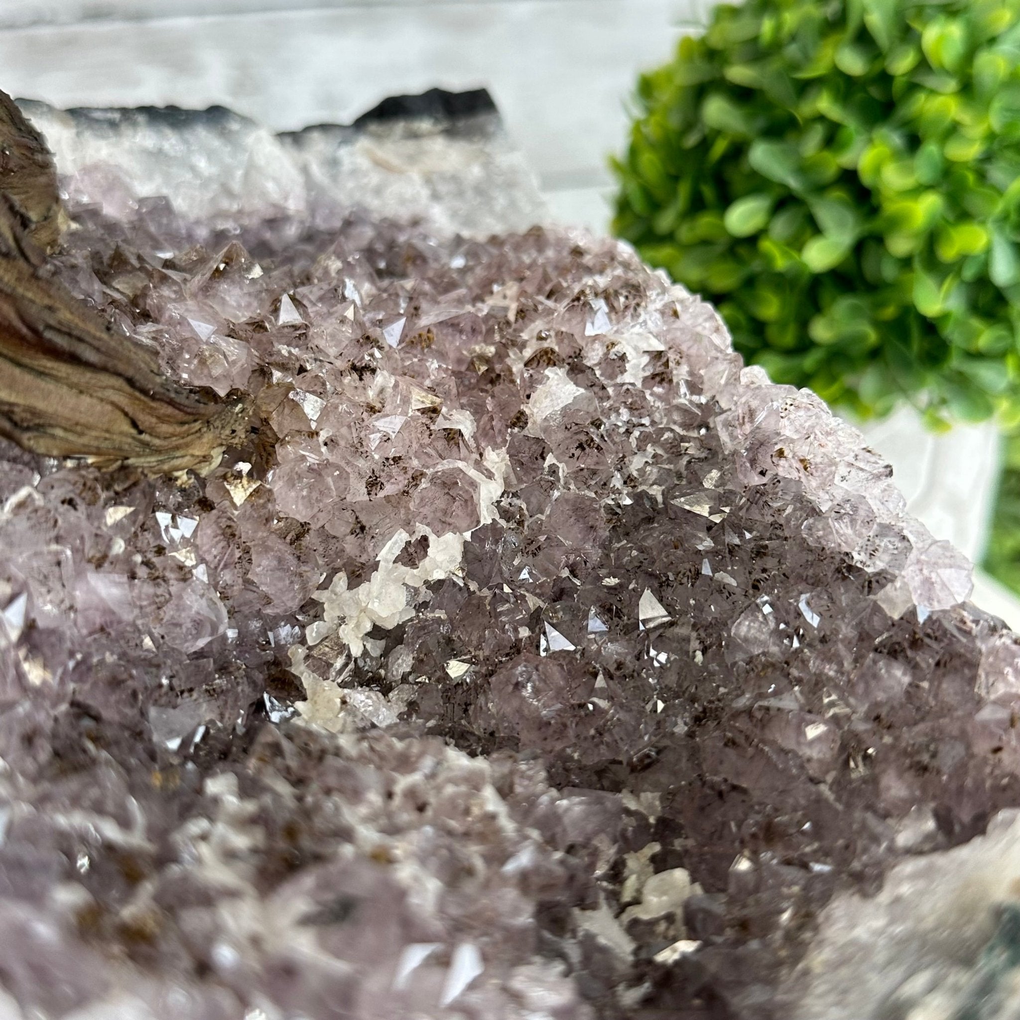 26" Tall Large Hematite Gemstone Tree on an Amethyst Base, 720 gems #5407HE-001 - Brazil GemsBrazil Gems26" Tall Large Hematite Gemstone Tree on an Amethyst Base, 720 gems #5407HE-001Gemstone Trees5407HE-001