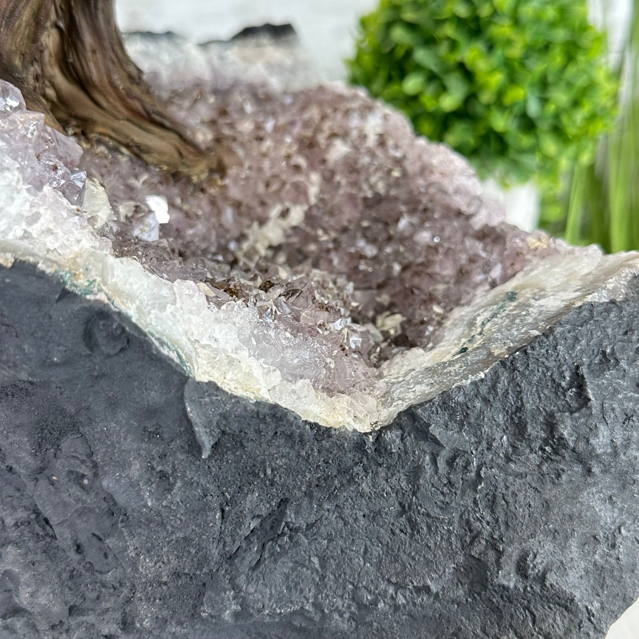 26" Tall Large Hematite Gemstone Tree on an Amethyst Base, 720 gems #5407HE-001 - Brazil GemsBrazil Gems26" Tall Large Hematite Gemstone Tree on an Amethyst Base, 720 gems #5407HE-001Gemstone Trees5407HE-001