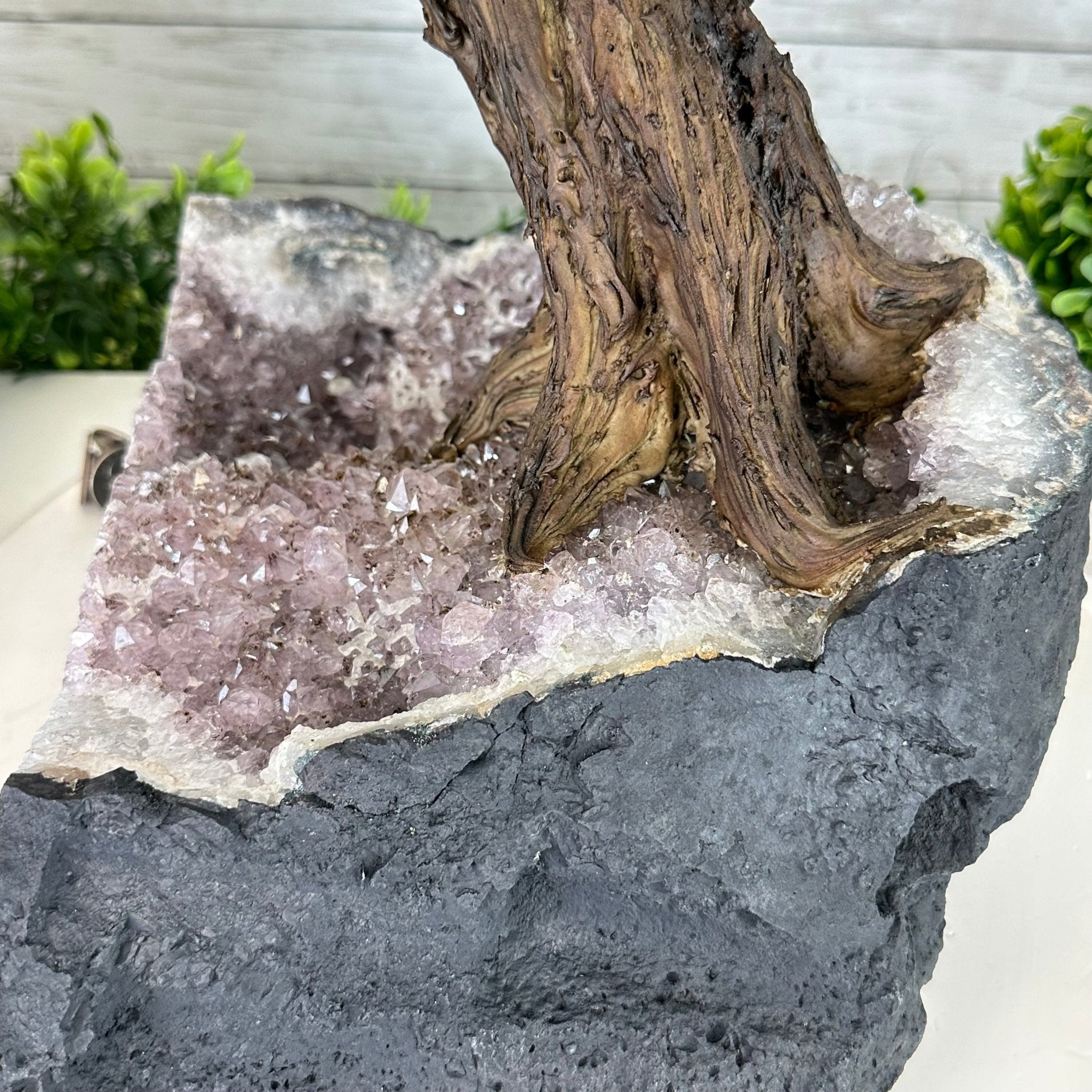 26" Tall Large Hematite Gemstone Tree on an Amethyst Base, 720 gems #5407HE-001 - Brazil GemsBrazil Gems26" Tall Large Hematite Gemstone Tree on an Amethyst Base, 720 gems #5407HE-001Gemstone Trees5407HE-001