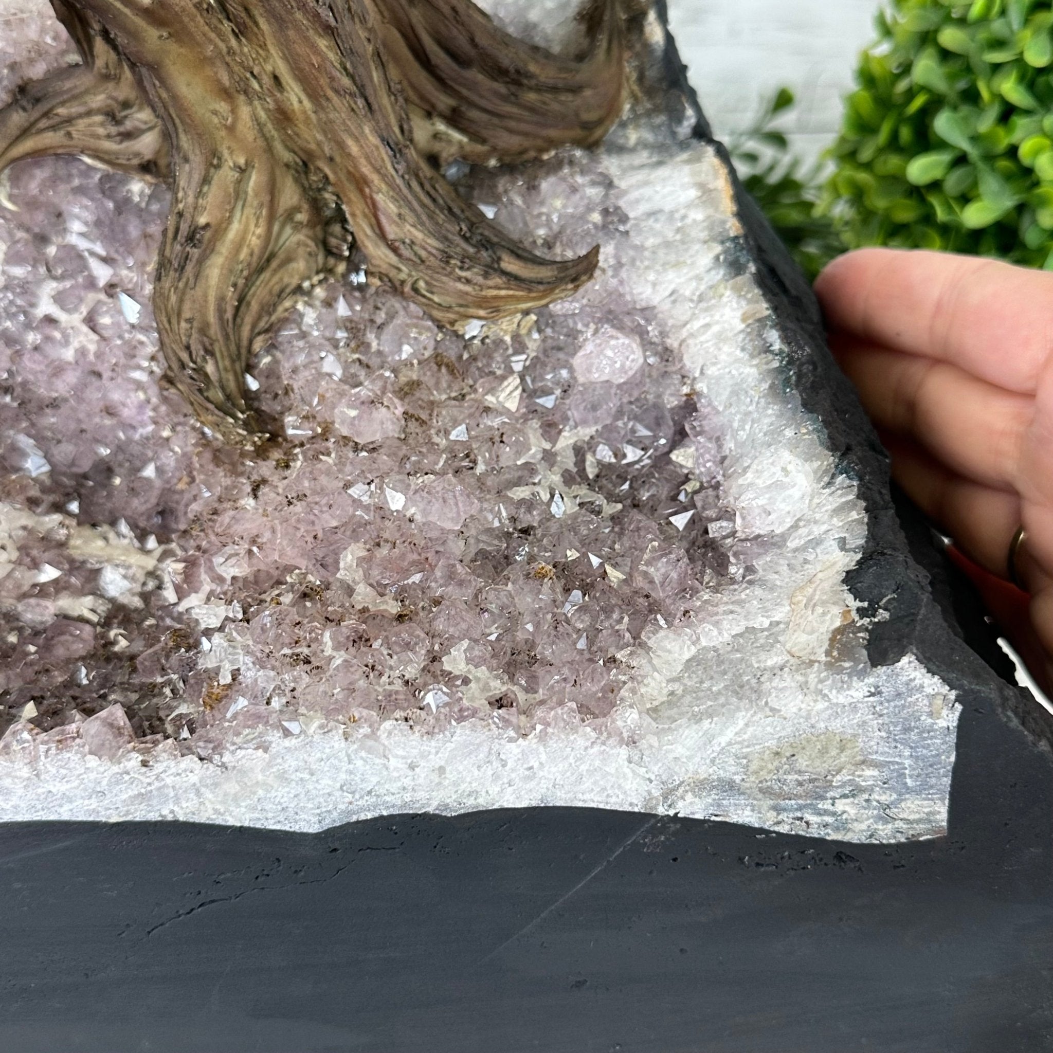 26" Tall Large Hematite Gemstone Tree on an Amethyst Base, 720 gems #5407HE-001 - Brazil GemsBrazil Gems26" Tall Large Hematite Gemstone Tree on an Amethyst Base, 720 gems #5407HE-001Gemstone Trees5407HE-001