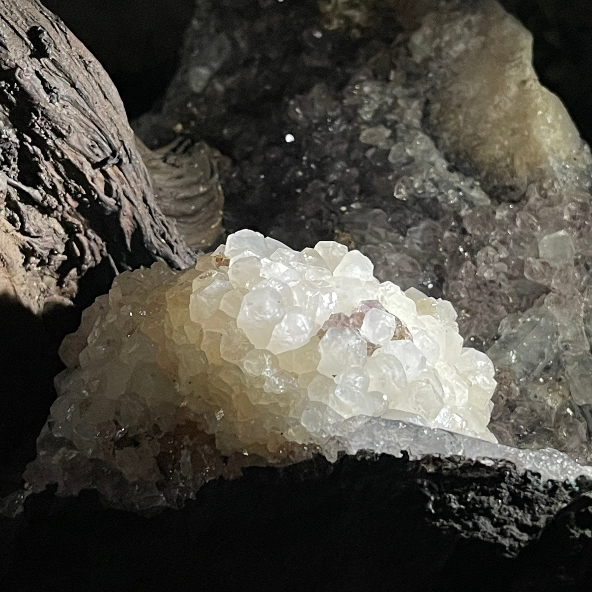 33" Tall Special Clear Quartz Gemstone Tree w/ Amethyst base, 960 Gems, Handmade #5431CQ-001 by Brazil Gems - Brazil GemsBrazil Gems33" Tall Special Clear Quartz Gemstone Tree w/ Amethyst base, 960 Gems, Handmade #5431CQ-001 by Brazil GemsGemstone Trees5431CQ-001