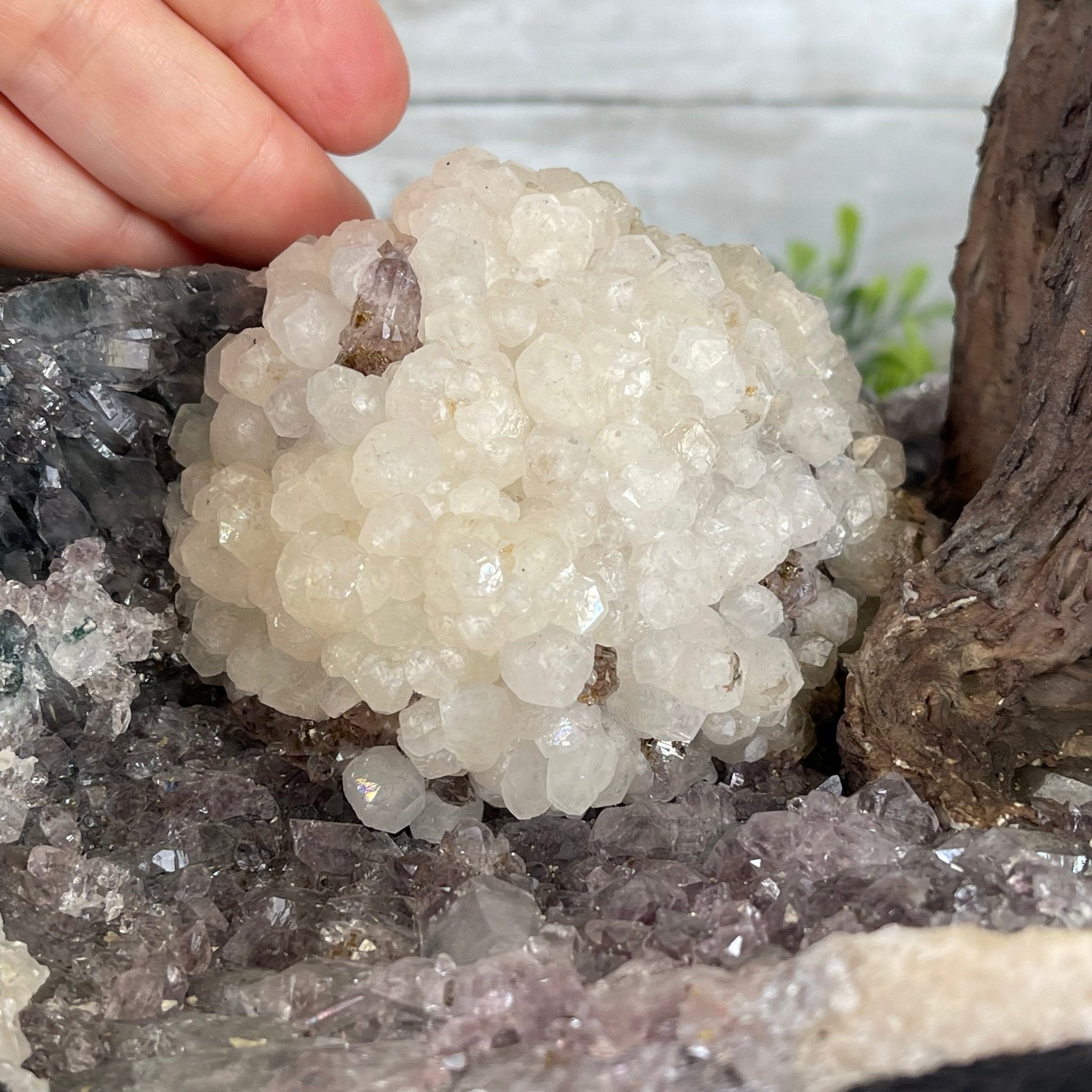 33" Tall Special Clear Quartz Gemstone Tree w/ Amethyst base, 960 Gems, Handmade #5431CQ-001 by Brazil Gems - Brazil GemsBrazil Gems33" Tall Special Clear Quartz Gemstone Tree w/ Amethyst base, 960 Gems, Handmade #5431CQ-001 by Brazil GemsGemstone Trees5431CQ-001