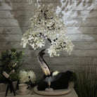 33" Tall Special Clear Quartz Gemstone Tree w/ Amethyst base, 960 Gems, Handmade #5431CQ-001 by Brazil Gems - Brazil GemsBrazil Gems33" Tall Special Clear Quartz Gemstone Tree w/ Amethyst base, 960 Gems, Handmade #5431CQ-001 by Brazil GemsGemstone Trees5431CQ-001