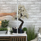 33" Tall Special Clear Quartz Gemstone Tree w/ Amethyst base, 960 Gems, Handmade #5431CQ-001 by Brazil Gems - Brazil GemsBrazil Gems33" Tall Special Clear Quartz Gemstone Tree w/ Amethyst base, 960 Gems, Handmade #5431CQ-001 by Brazil GemsGemstone Trees5431CQ-001