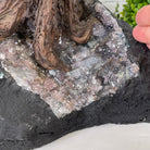 33" Tall Special Clear Quartz Gemstone Tree w/ Amethyst base, 960 Gems, Handmade #5431CQ-001 by Brazil Gems - Brazil GemsBrazil Gems33" Tall Special Clear Quartz Gemstone Tree w/ Amethyst base, 960 Gems, Handmade #5431CQ-001 by Brazil GemsGemstone Trees5431CQ-001