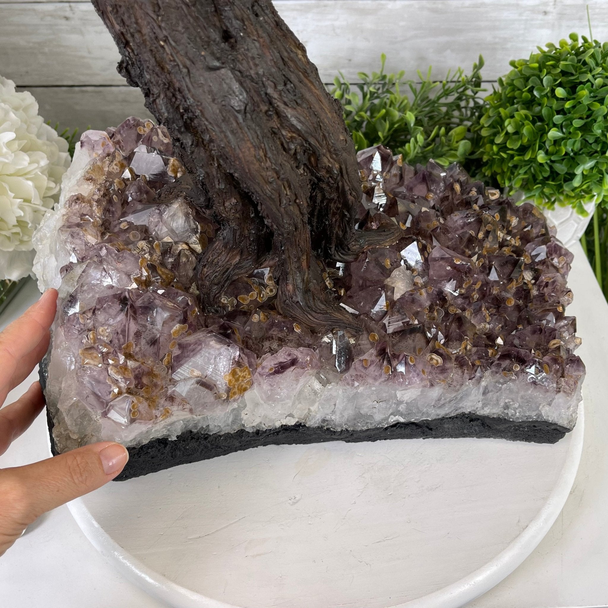 33" Tall Special Pink Agate Gemstone Tree w/ Amethyst base, 930 Gems, Handmade #5430PA-001 by Brazil Gems - Brazil GemsBrazil Gems33" Tall Special Pink Agate Gemstone Tree w/ Amethyst base, 930 Gems, Handmade #5430PA-001 by Brazil GemsGemstone Trees5430PA-001