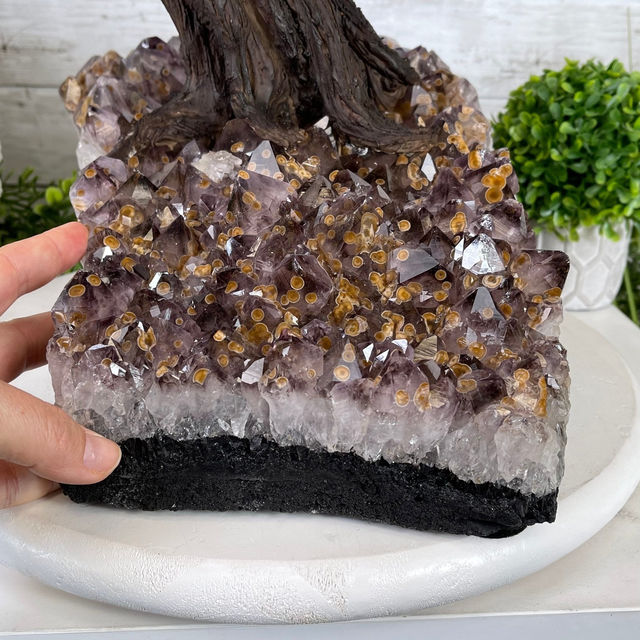 33" Tall Special Pink Agate Gemstone Tree w/ Amethyst base, 930 Gems, Handmade #5430PA-001 by Brazil Gems - Brazil GemsBrazil Gems33" Tall Special Pink Agate Gemstone Tree w/ Amethyst base, 930 Gems, Handmade #5430PA-001 by Brazil GemsGemstone Trees5430PA-001