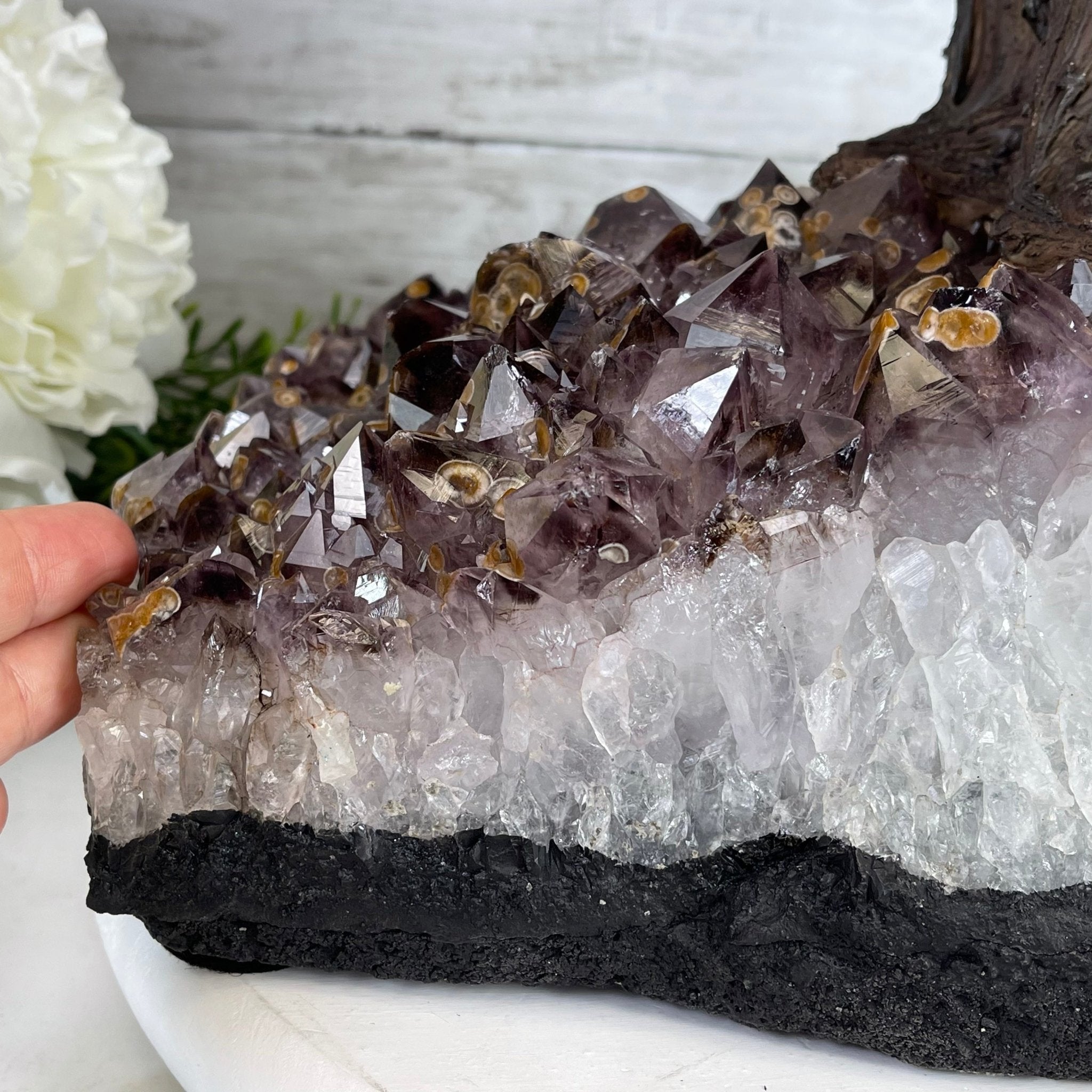 33" Tall Special Pink Agate Gemstone Tree w/ Amethyst base, 930 Gems, Handmade #5430PA-001 by Brazil Gems - Brazil GemsBrazil Gems33" Tall Special Pink Agate Gemstone Tree w/ Amethyst base, 930 Gems, Handmade #5430PA-001 by Brazil GemsGemstone Trees5430PA-001