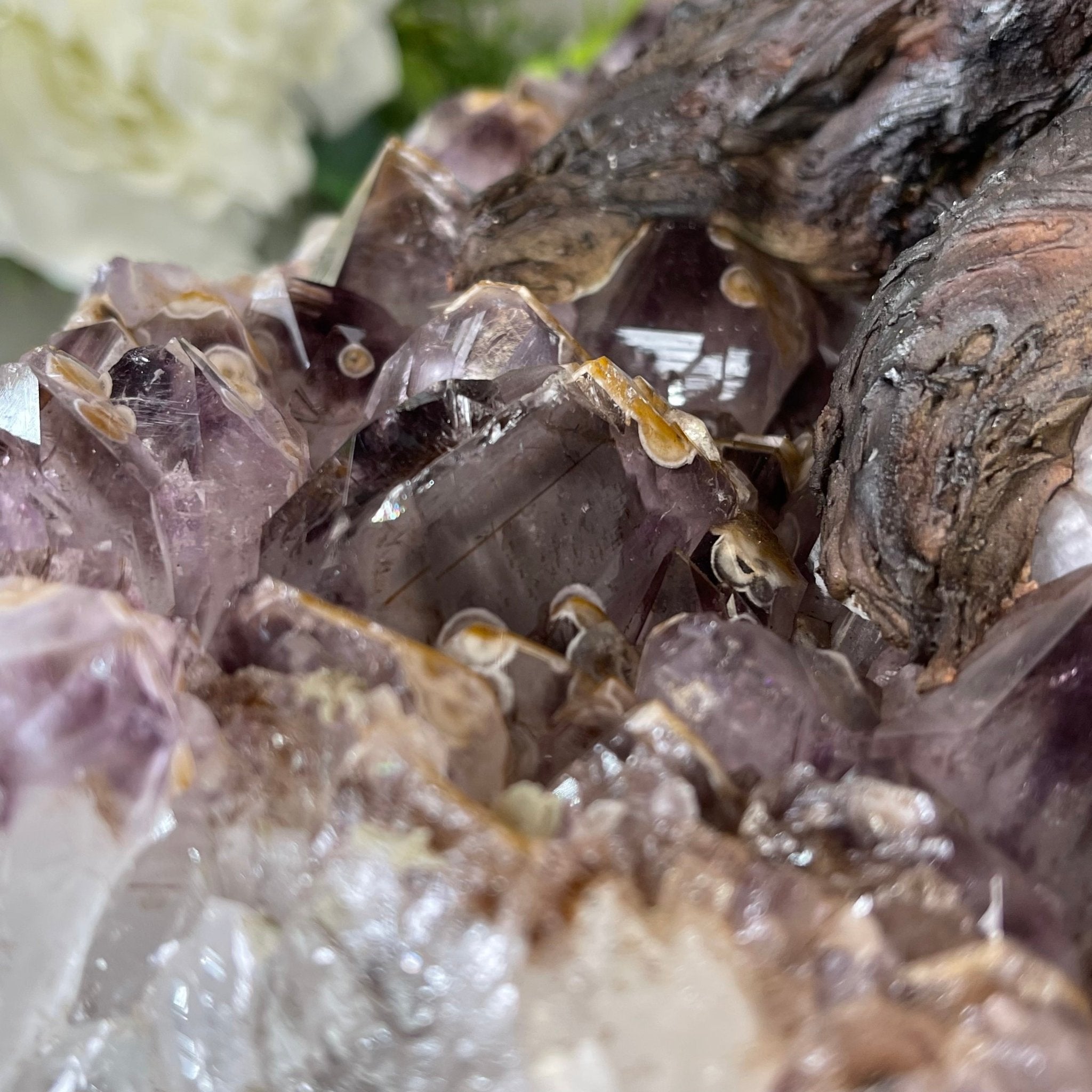 33" Tall Special Pink Agate Gemstone Tree w/ Amethyst base, 930 Gems, Handmade #5430PA-001 by Brazil Gems - Brazil GemsBrazil Gems33" Tall Special Pink Agate Gemstone Tree w/ Amethyst base, 930 Gems, Handmade #5430PA-001 by Brazil GemsGemstone Trees5430PA-001