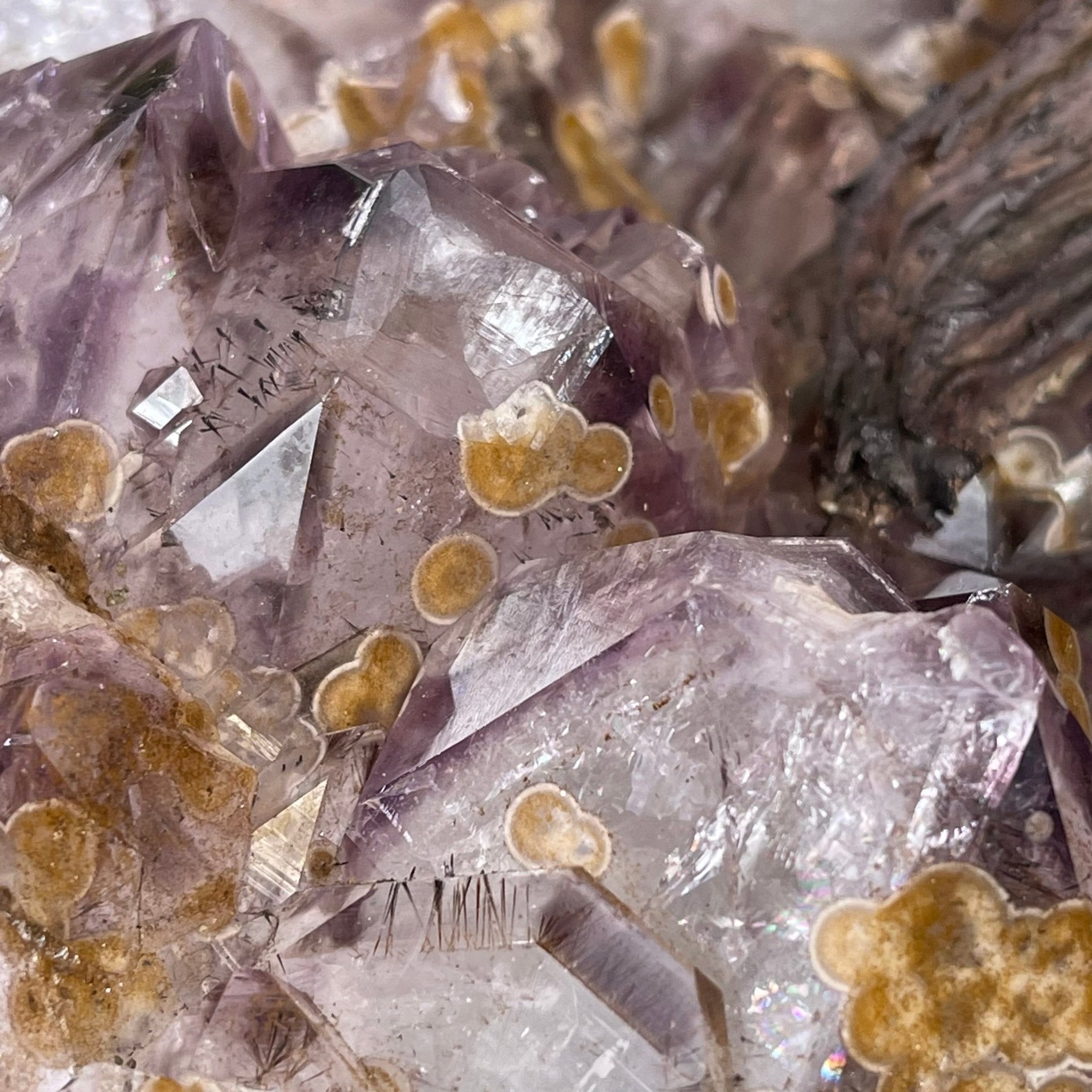 33" Tall Special Pink Agate Gemstone Tree w/ Amethyst base, 930 Gems, Handmade #5430PA-001 by Brazil Gems - Brazil GemsBrazil Gems33" Tall Special Pink Agate Gemstone Tree w/ Amethyst base, 930 Gems, Handmade #5430PA-001 by Brazil GemsGemstone Trees5430PA-001