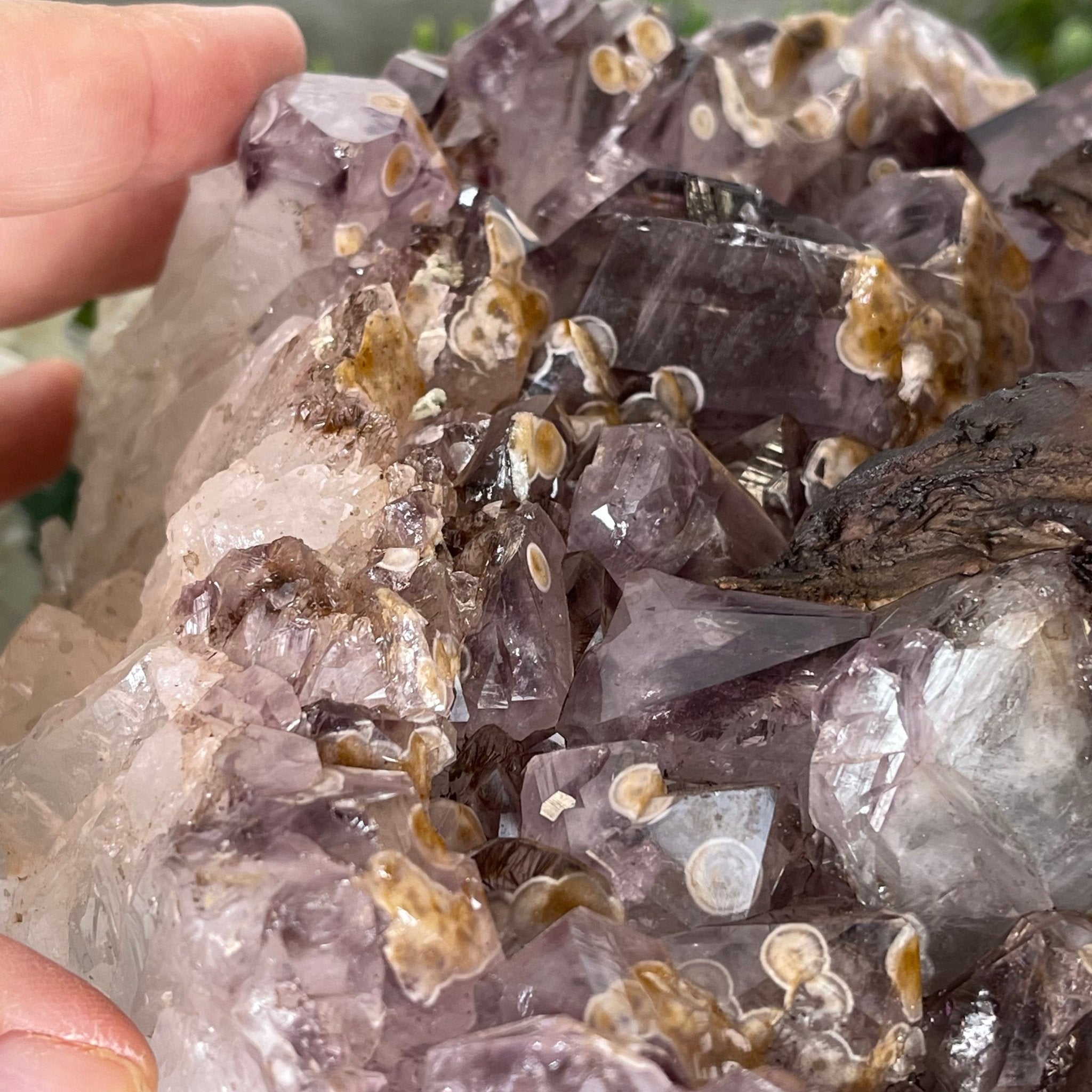 33" Tall Special Pink Agate Gemstone Tree w/ Amethyst base, 930 Gems, Handmade #5430PA-001 by Brazil Gems - Brazil GemsBrazil Gems33" Tall Special Pink Agate Gemstone Tree w/ Amethyst base, 930 Gems, Handmade #5430PA-001 by Brazil GemsGemstone Trees5430PA-001