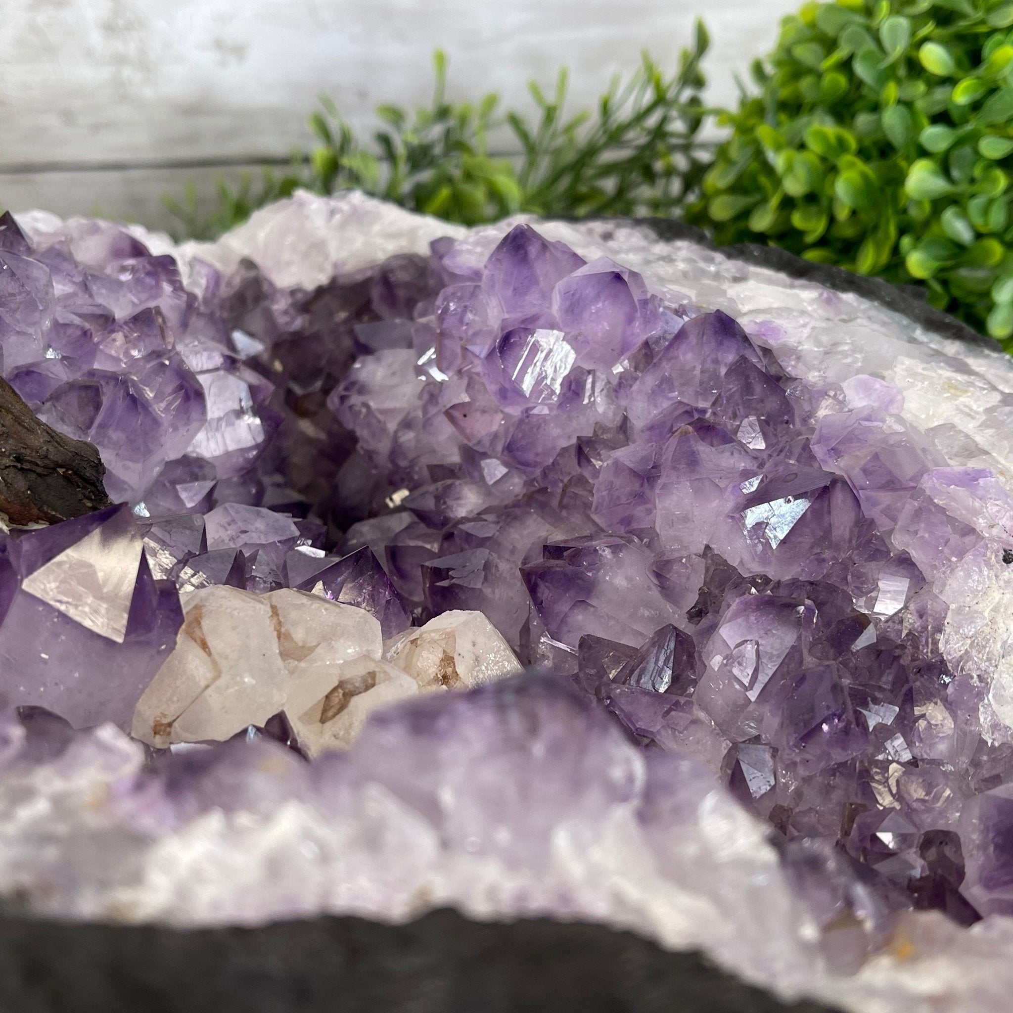 33" Tall Special Rose Quartz Gemstone Tree w/ Amethyst base, 990 Gems, Handmade #5432RQ-001 by Brazil Gems - Brazil GemsBrazil Gems33" Tall Special Rose Quartz Gemstone Tree w/ Amethyst base, 990 Gems, Handmade #5432RQ-001 by Brazil GemsGemstone Trees5432RQ-001