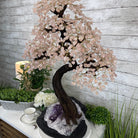 33" Tall Special Rose Quartz Gemstone Tree w/ Amethyst base, 990 Gems, Handmade #5432RQ-001 by Brazil Gems - Brazil GemsBrazil Gems33" Tall Special Rose Quartz Gemstone Tree w/ Amethyst base, 990 Gems, Handmade #5432RQ-001 by Brazil GemsGemstone Trees5432RQ-001