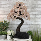 33" Tall Special Rose Quartz Gemstone Tree w/ Amethyst base, 990 Gems, Handmade #5432RQ-001 by Brazil Gems - Brazil GemsBrazil Gems33" Tall Special Rose Quartz Gemstone Tree w/ Amethyst base, 990 Gems, Handmade #5432RQ-001 by Brazil GemsGemstone Trees5432RQ-001