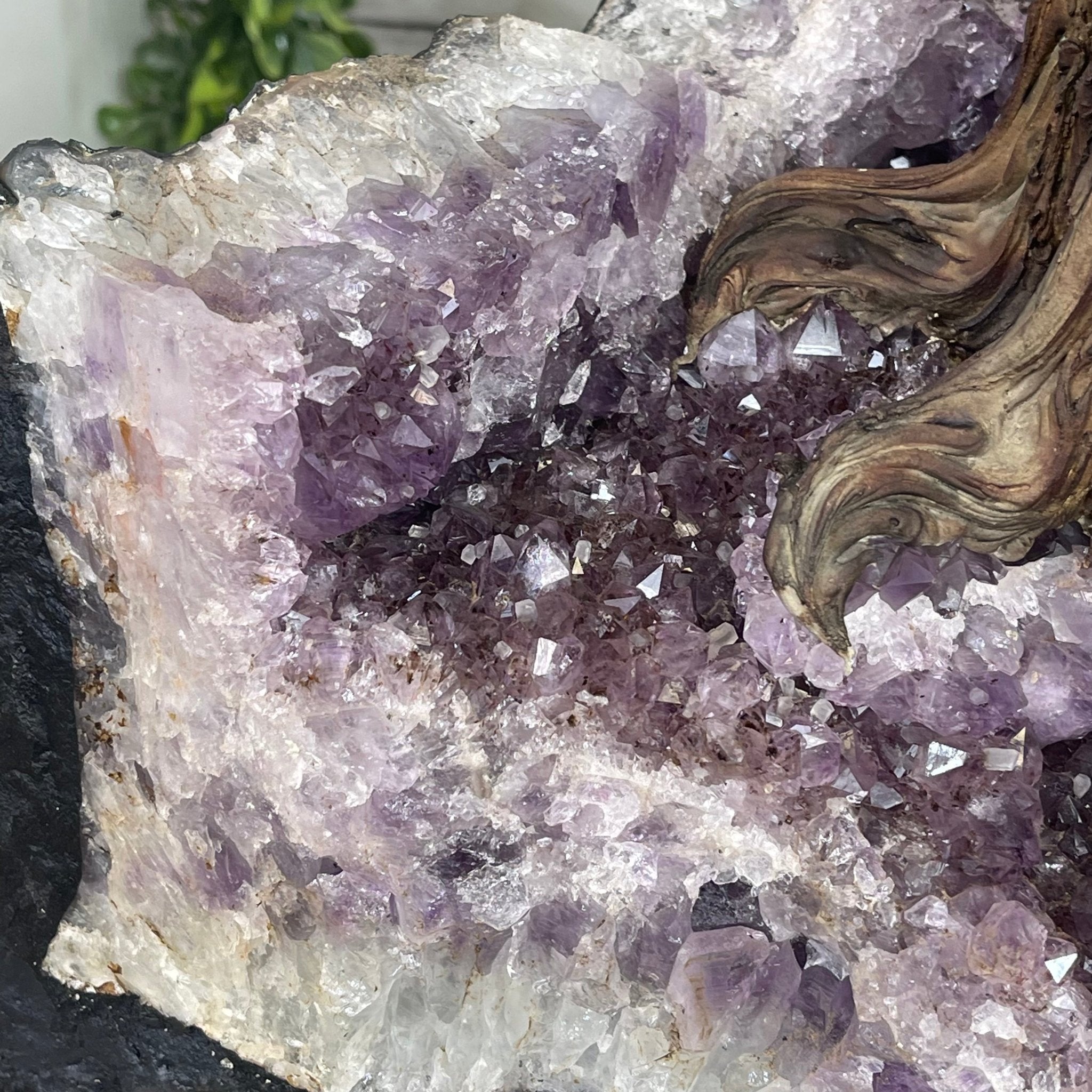 43" Tall Special Amethyst & Rose Quartz Gemstone Tree w/ Amethyst base, 1140 Gems, Handmade Model #5440AMRQ-001 by Brazil Gems - Brazil GemsBrazil Gems43" Tall Special Amethyst & Rose Quartz Gemstone Tree w/ Amethyst base, 1140 Gems, Handmade Model #5440AMRQ-001 by Brazil GemsGemstone Trees5440AMRQ-001