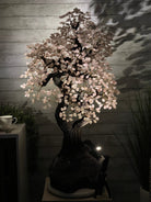 43" Tall Special Rose Quartz Gemstone Tree w/ Amethyst base, 1380 Gems, Handmade #5442RQ-001 by Brazil Gems - Brazil GemsBrazil Gems43" Tall Special Rose Quartz Gemstone Tree w/ Amethyst base, 1380 Gems, Handmade #5442RQ-001 by Brazil GemsGemstone Trees5442RQ-001