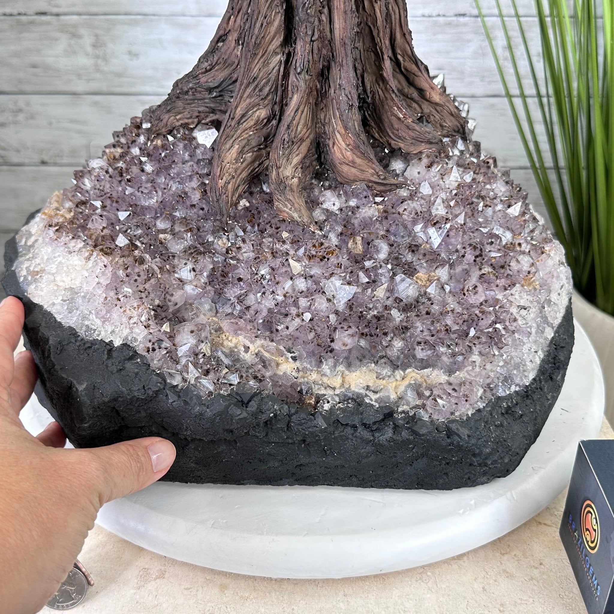 45" Tall Special Citrine Gemstone Tree w/ Amethyst base, 1320 Gems, Handmade, 89.6 lbs #5441CI-001 by Brazil Gems - Brazil GemsBrazil Gems45" Tall Special Citrine Gemstone Tree w/ Amethyst base, 1320 Gems, Handmade, 89.6 lbs #5441CI-001 by Brazil GemsGemstone Trees5441CI-001