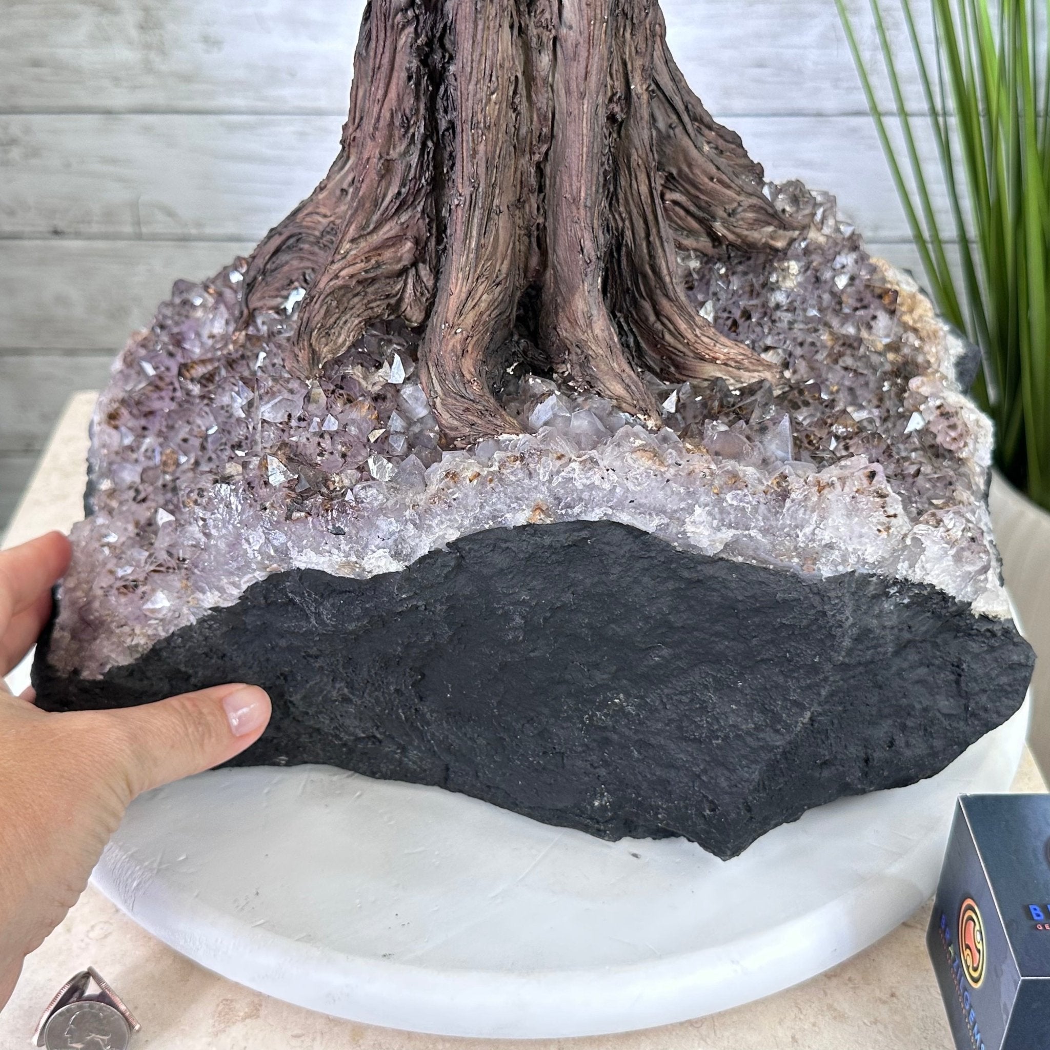 45" Tall Special Citrine Gemstone Tree w/ Amethyst base, 1320 Gems, Handmade, 89.6 lbs #5441CI-001 by Brazil Gems - Brazil GemsBrazil Gems45" Tall Special Citrine Gemstone Tree w/ Amethyst base, 1320 Gems, Handmade, 89.6 lbs #5441CI-001 by Brazil GemsGemstone Trees5441CI-001