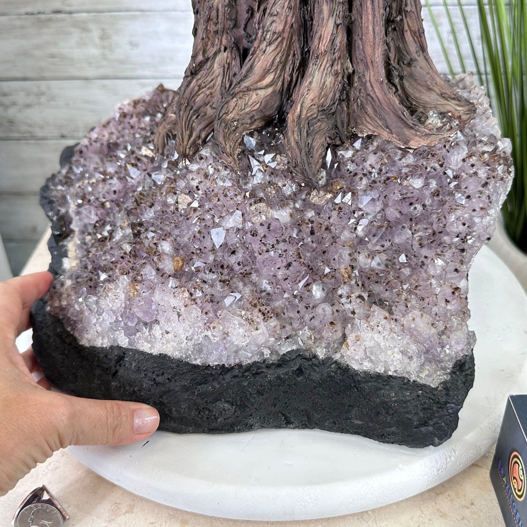 45" Tall Special Citrine Gemstone Tree w/ Amethyst base, 1320 Gems, Handmade, 89.6 lbs #5441CI-001 by Brazil Gems - Brazil GemsBrazil Gems45" Tall Special Citrine Gemstone Tree w/ Amethyst base, 1320 Gems, Handmade, 89.6 lbs #5441CI-001 by Brazil GemsGemstone Trees5441CI-001