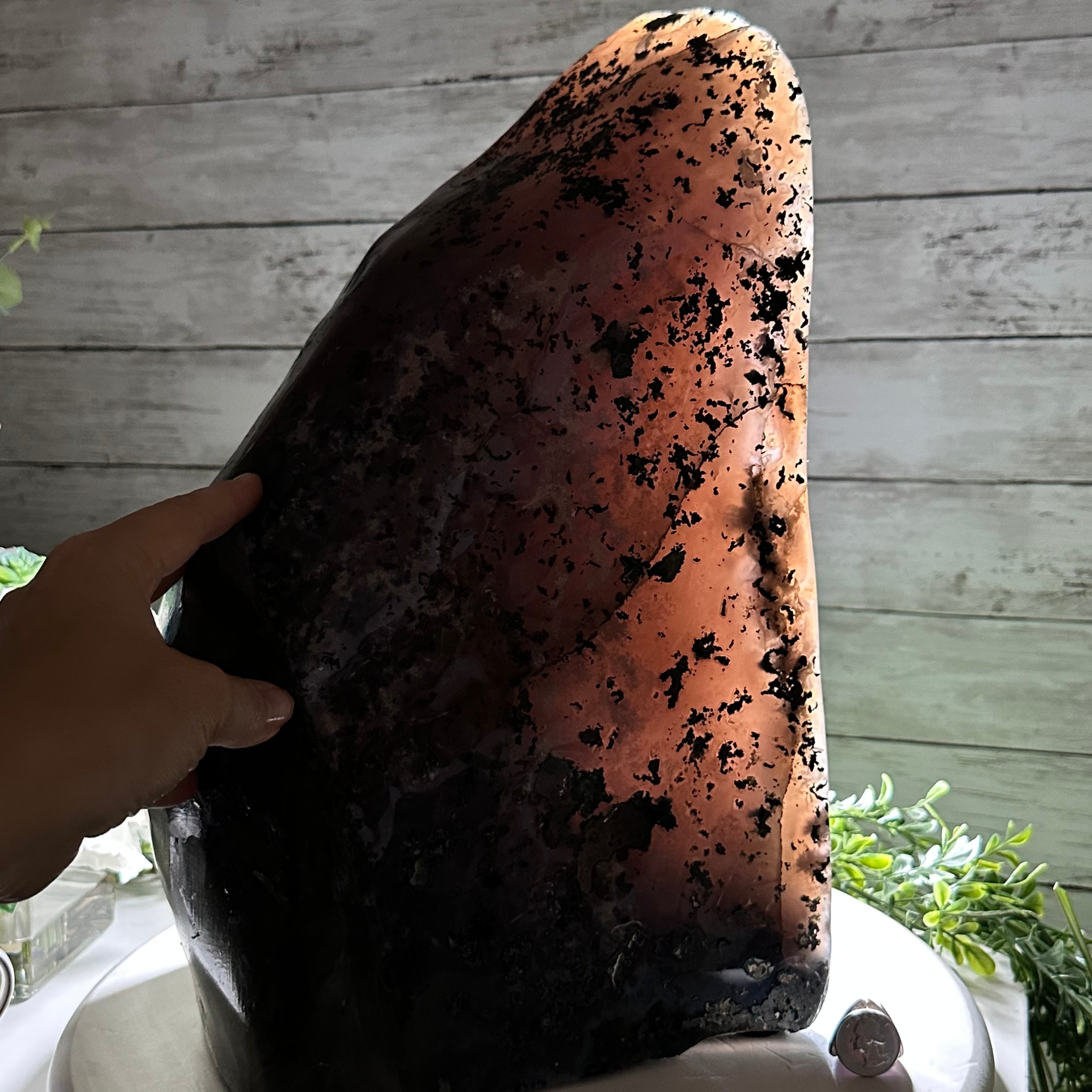 Extra Plus Quality Polished Brazilian Amethyst Cathedral, 46.6 lbs & 15.75" tall Model #5602-0193 by Brazil Gems - Brazil GemsBrazil GemsExtra Plus Quality Polished Brazilian Amethyst Cathedral, 46.6 lbs & 15.75" tall Model #5602-0193 by Brazil GemsPolished Cathedrals5602-0193