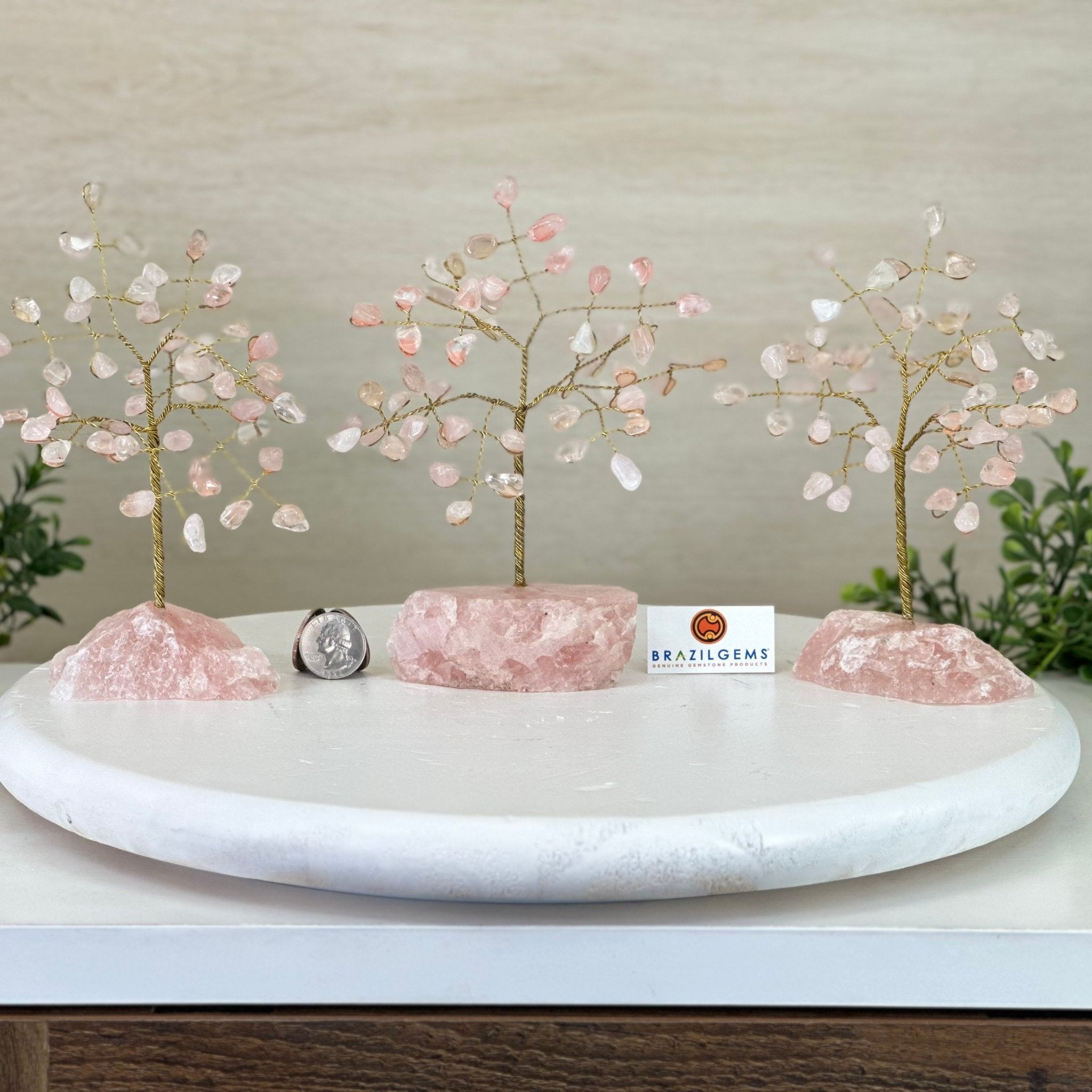 6" Tall Rose Quartz Handmade Wire Gem Tree with Rose Quartz base, 50 Gems #5310RQRQ - Brazil GemsBrazil Gems6" Tall Rose Quartz Handmade Wire Gem Tree with Rose Quartz base, 50 Gems #5310RQRQGemstone Trees5310RQRQ