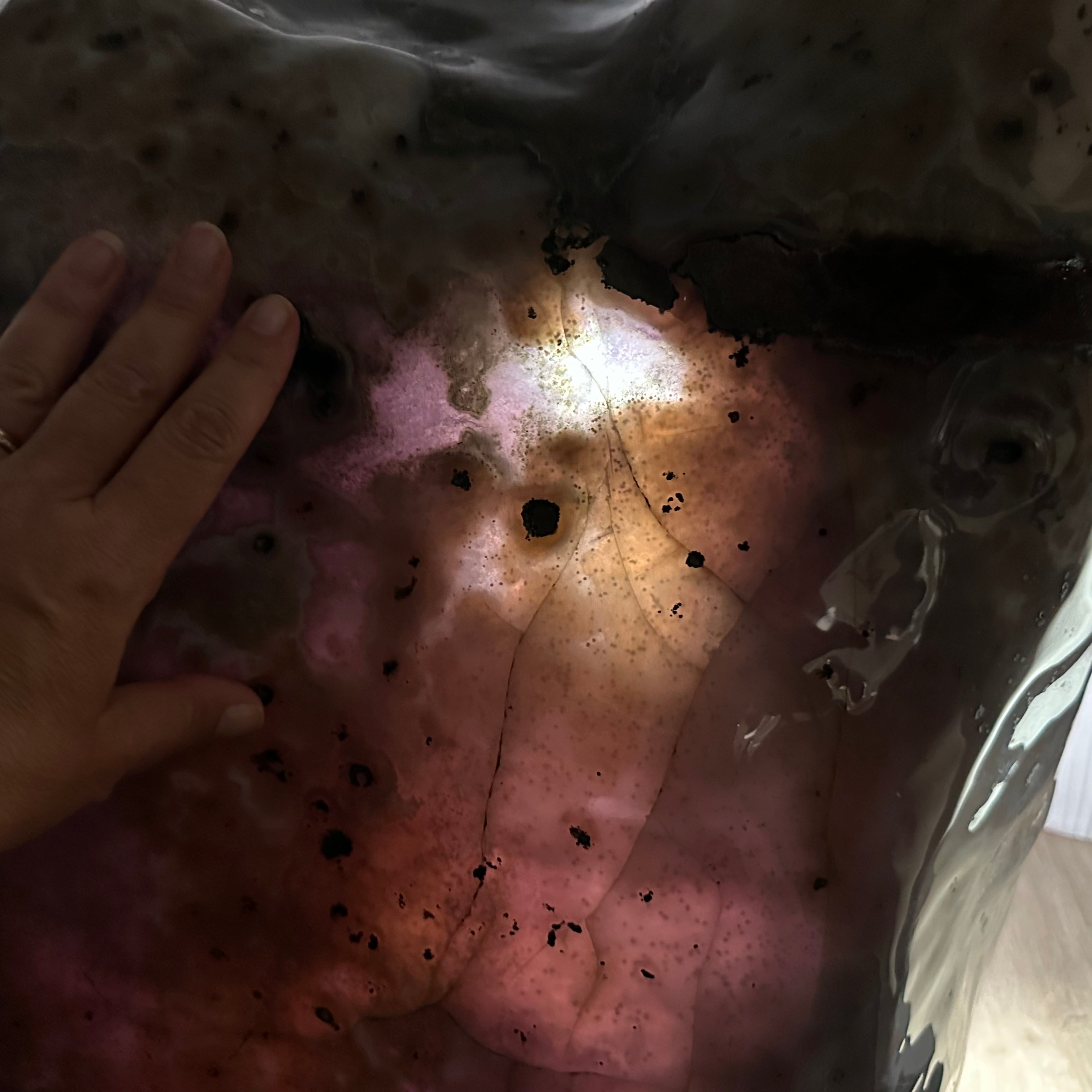 Large Super Quality Polished Brazilian Amethyst Cathedral, 185.7 lbs & 24.5" tall Model #5602-0073 by Brazil Gems - Brazil GemsBrazil GemsLarge Super Quality Polished Brazilian Amethyst Cathedral, 185.7 lbs & 24.5" tall Model #5602-0073 by Brazil GemsPolished Cathedrals5602-0073