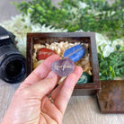 7 Chakra Stones in a Handmade Wooden Box Set, Engraved #5255 by Brazil Gems - Brazil GemsBrazil Gems7 Chakra Stones in a Handmade Wooden Box Set, Engraved #5255 by Brazil GemsChakra Stone Sets5255CHAK