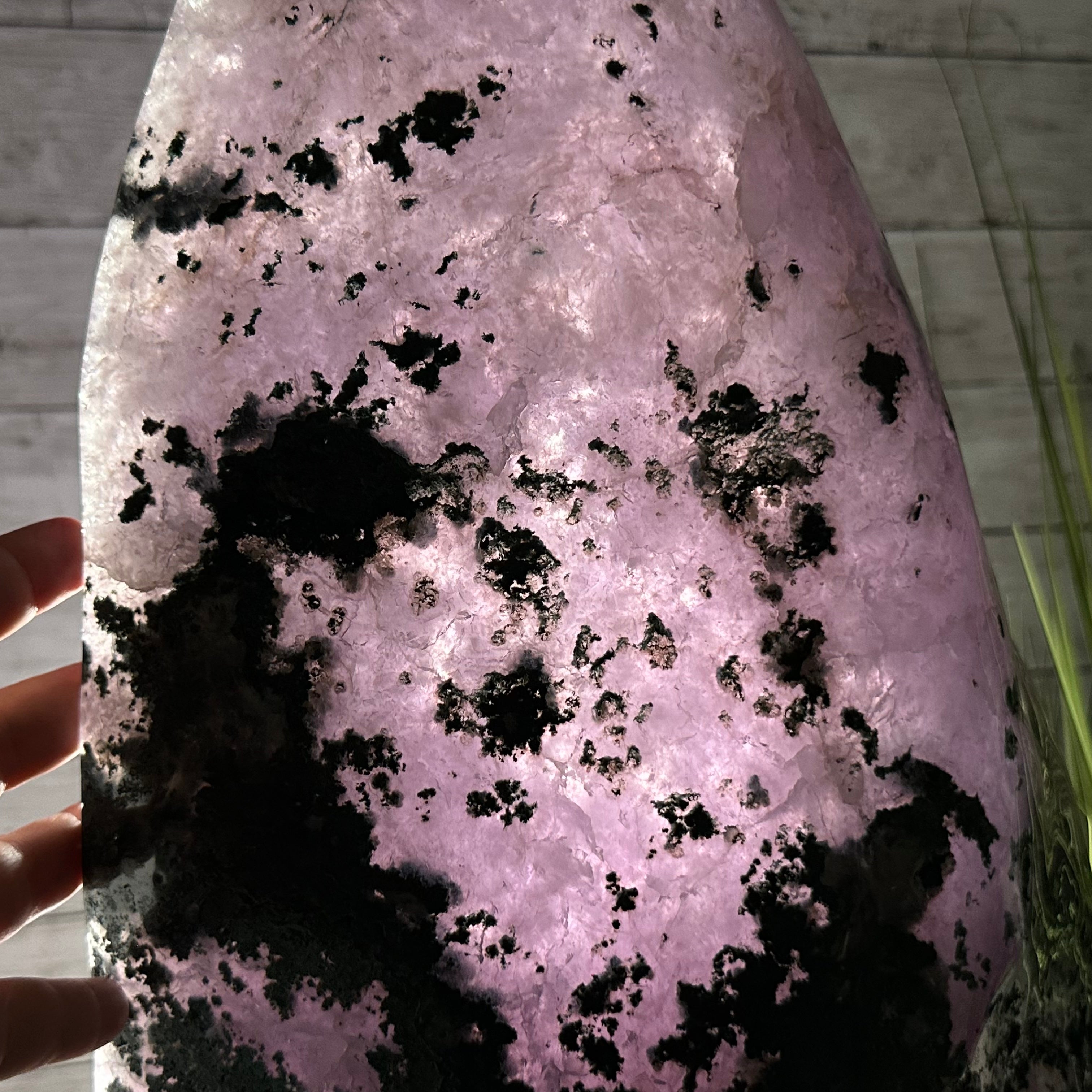 Extra Plus Quality Polished Brazilian Amethyst Cathedral, 115.9 lbs & 26.25" tall Model #5602-0065 by Brazil Gems - Brazil GemsBrazil GemsExtra Plus Quality Polished Brazilian Amethyst Cathedral, 115.9 lbs & 26.25" tall Model #5602-0065 by Brazil GemsPolished Cathedrals5602-0065