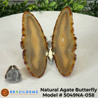 Small Natural Brazilian Agate "Butterfly Wings", ~4" Length #5049NA - Brazil GemsBrazil GemsSmall Natural Brazilian Agate "Butterfly Wings", ~4" Length #5049NAAgate Butterfly Wings5049NA-058