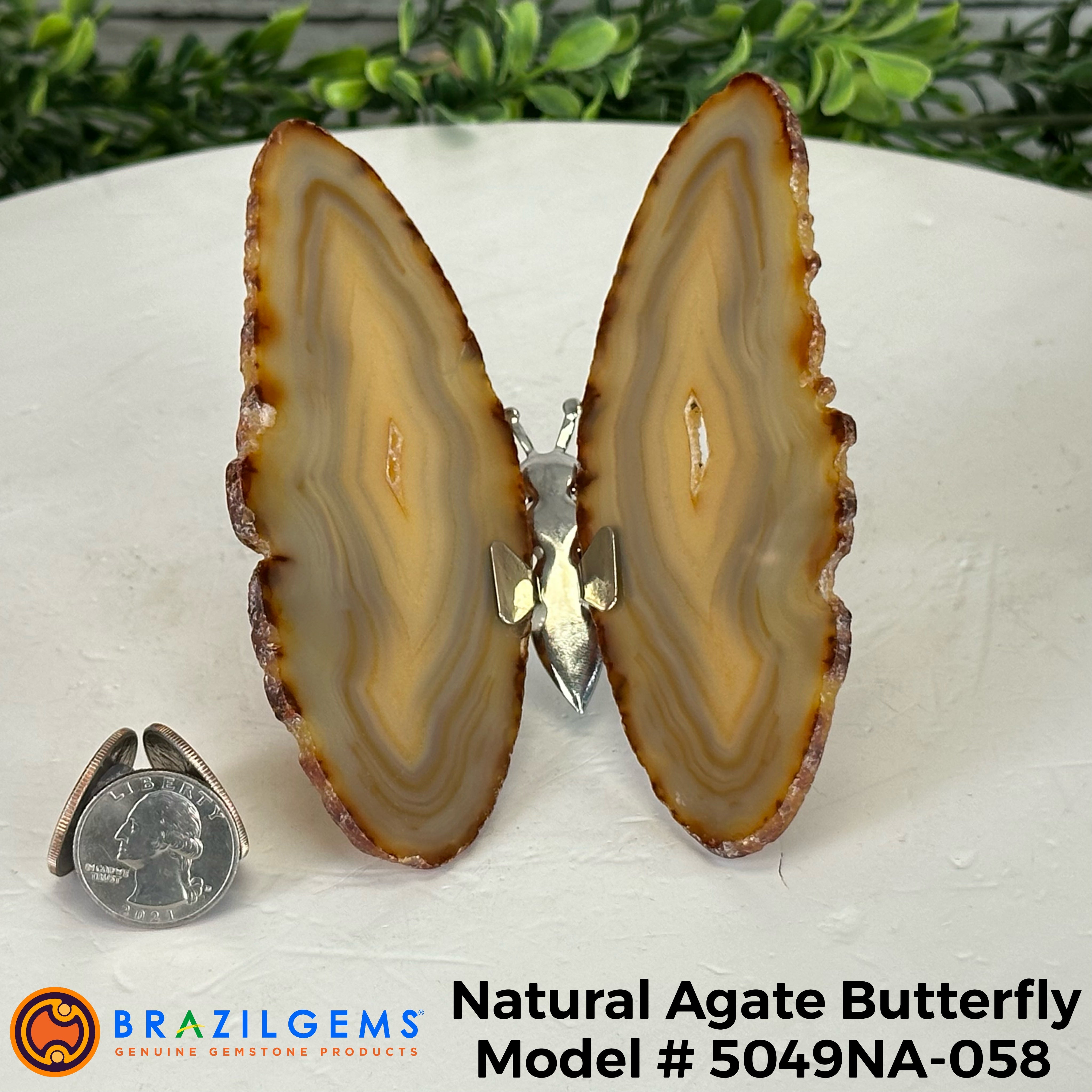 Small Natural Brazilian Agate "Butterfly Wings", ~4" Length #5049NA - Brazil GemsBrazil GemsSmall Natural Brazilian Agate "Butterfly Wings", ~4" Length #5049NAAgate Butterfly Wings5049NA-058
